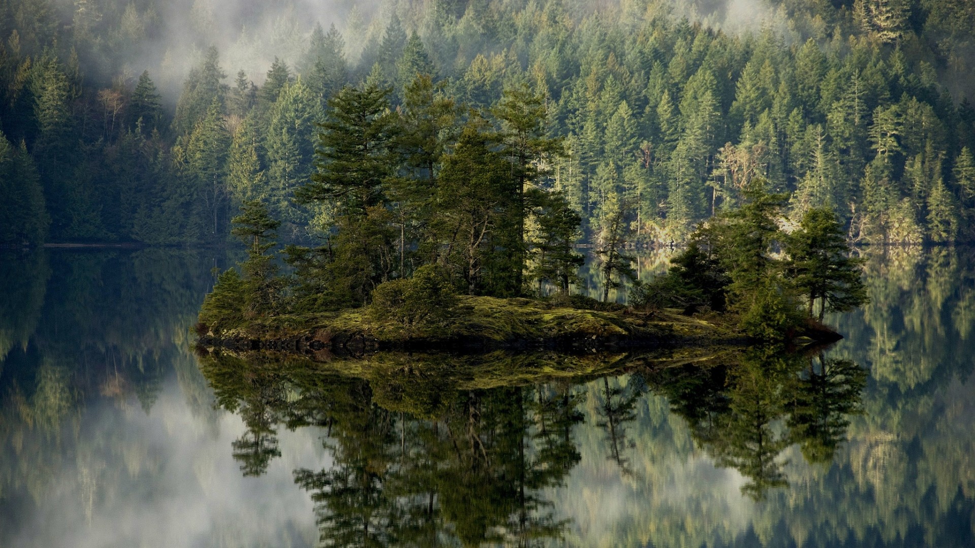 1920x1080  Wallpaper forest, lake, reflection, island, mist