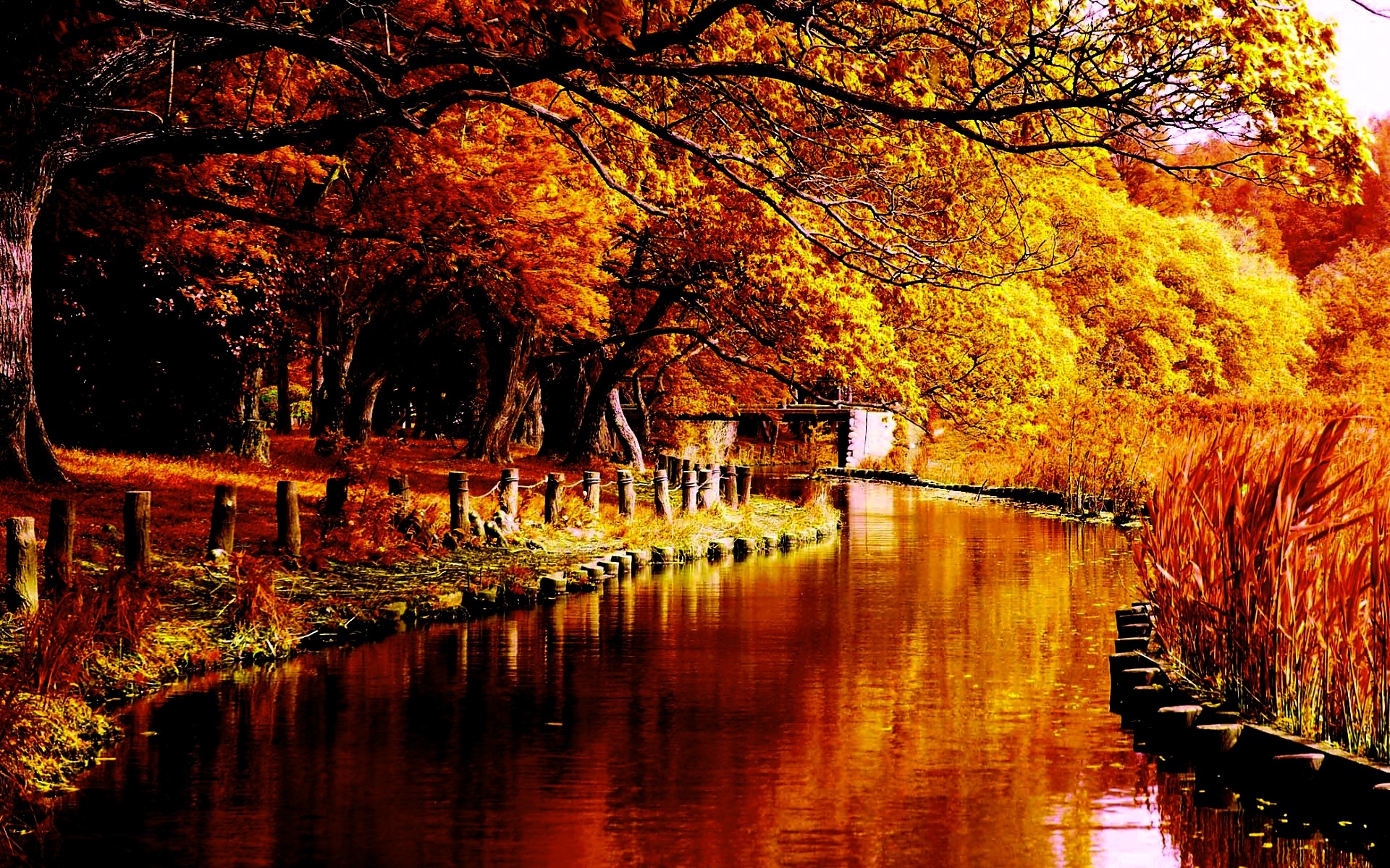 1920x1200 Autumn River Desktop Background.