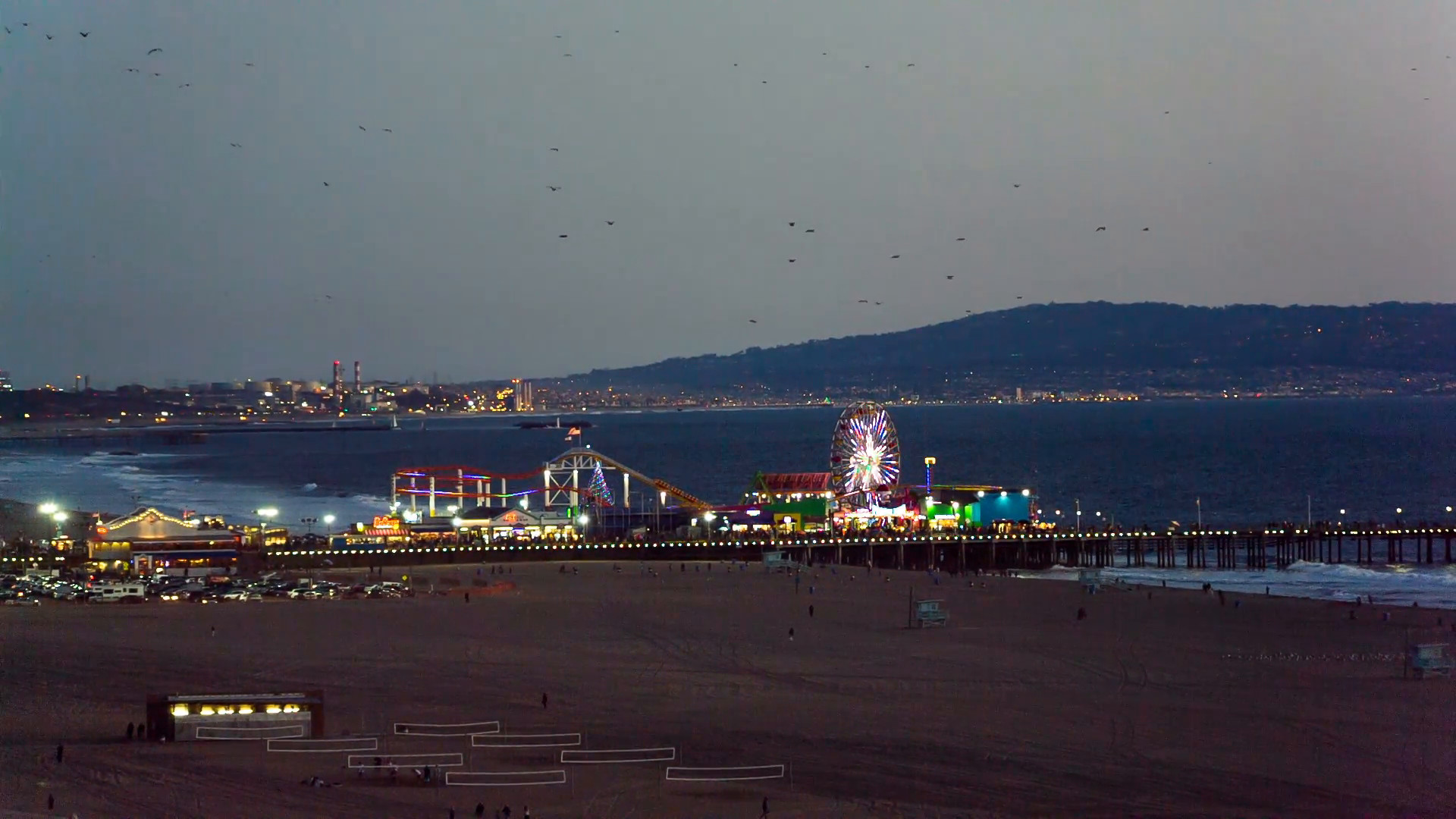 1920x1080 flock of birds flying on early evening night sky over Santa Monica Beach  with bright amusement park lights at pier in LA California 1080p HD Stock  Video ...