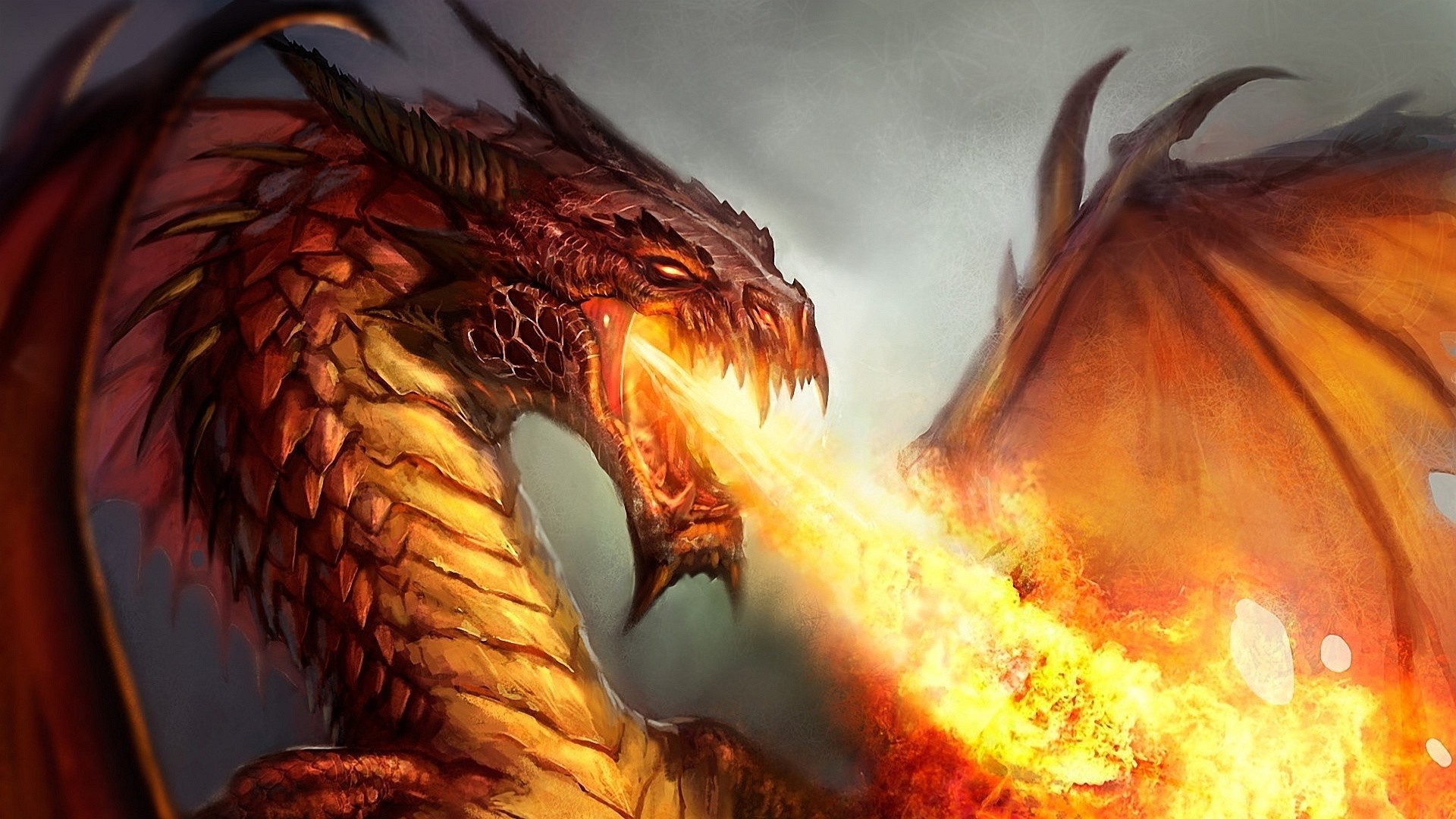 1920x1080 Backgrounds In High Quality: Dragon by Angle Sprowl, 05/03/2015