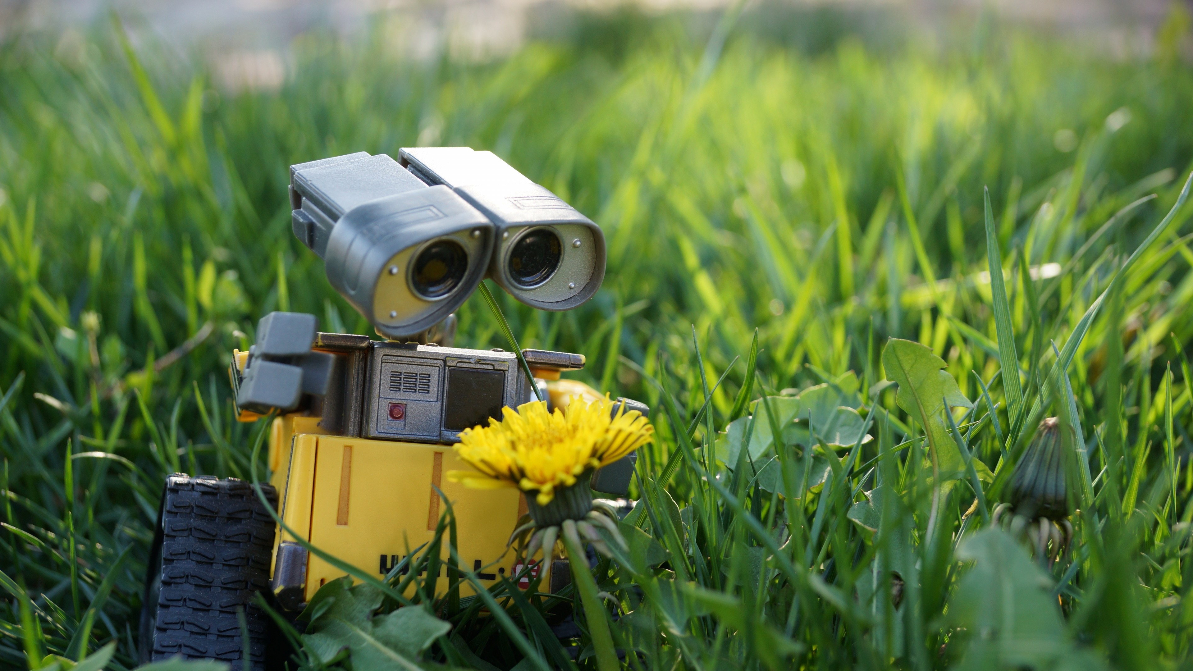 Wall E 2008 HD Movies 4k Wallpapers Images Backgrounds Photos and  Pictures