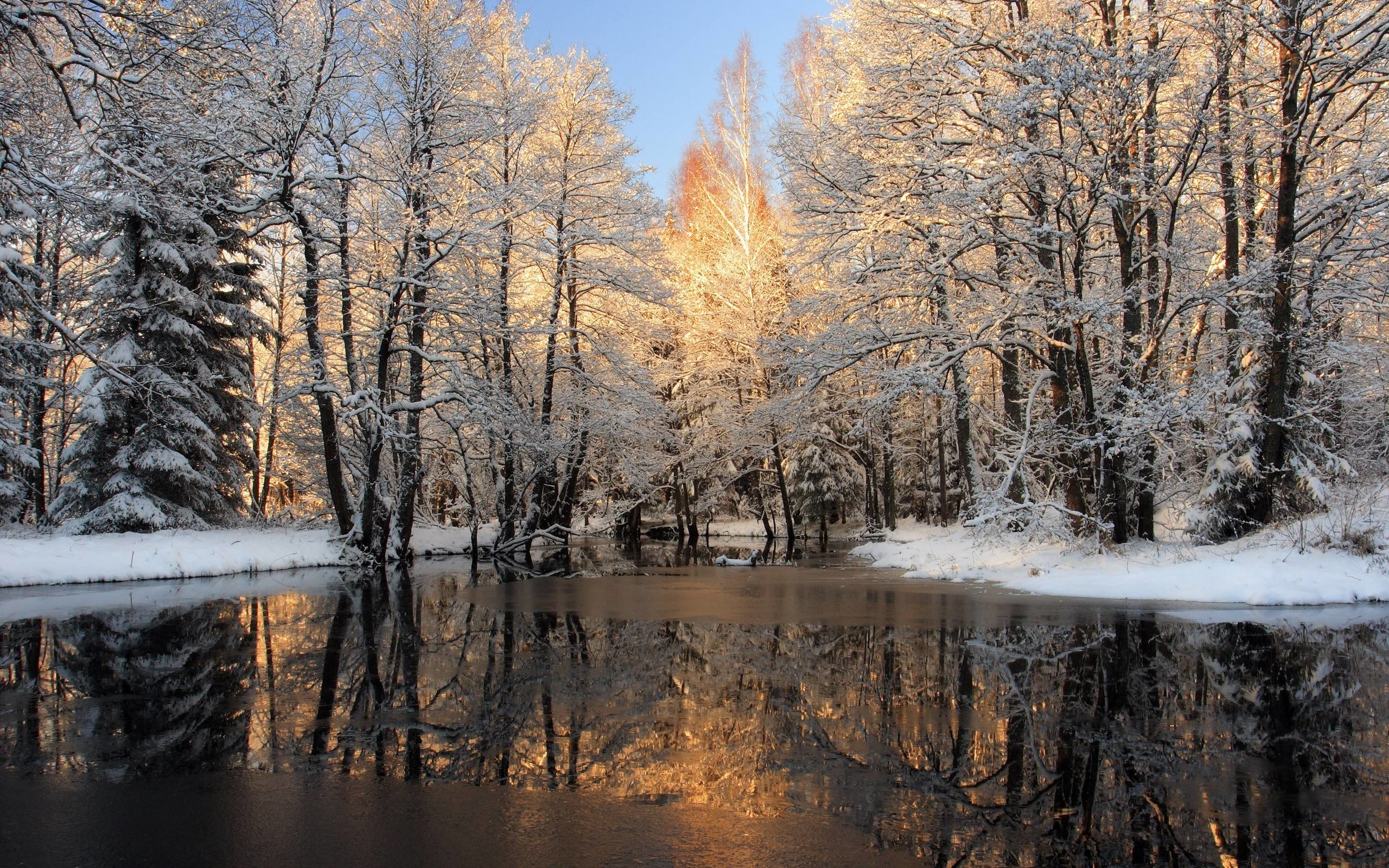 2560x1600 Winter Nature Image