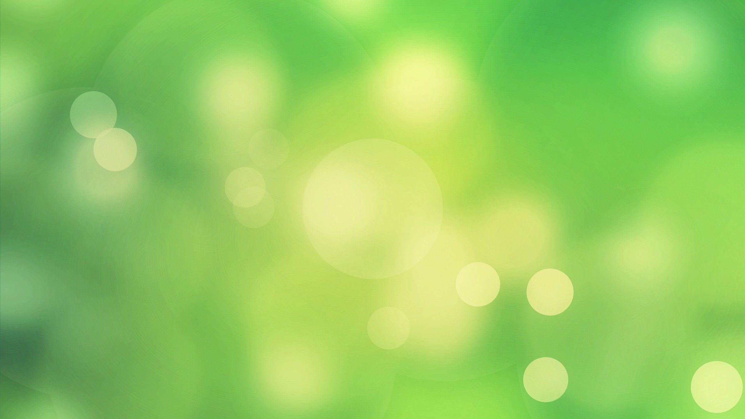 2560x1440 Green Backgrounds