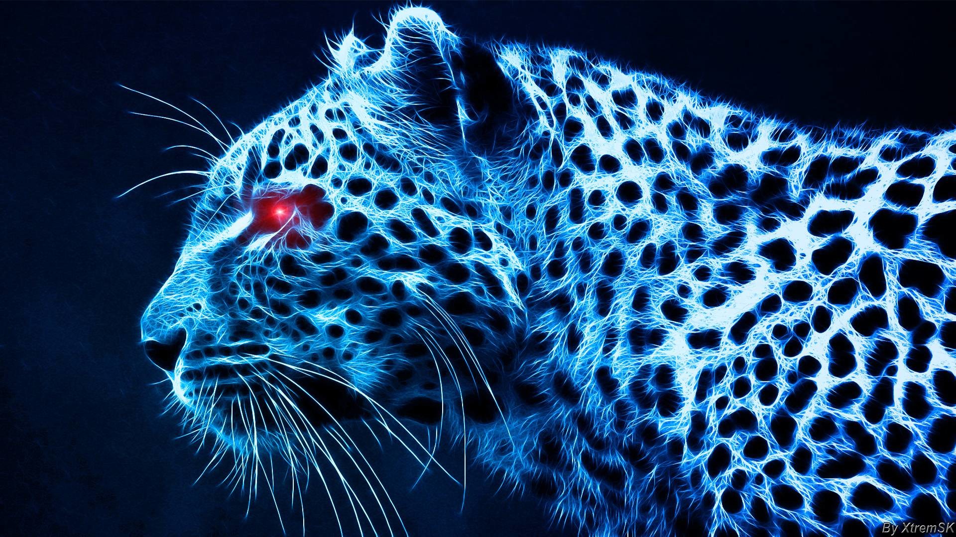 1920x1080 Wallpapers For > Blue Tiger Wallpaper Hd