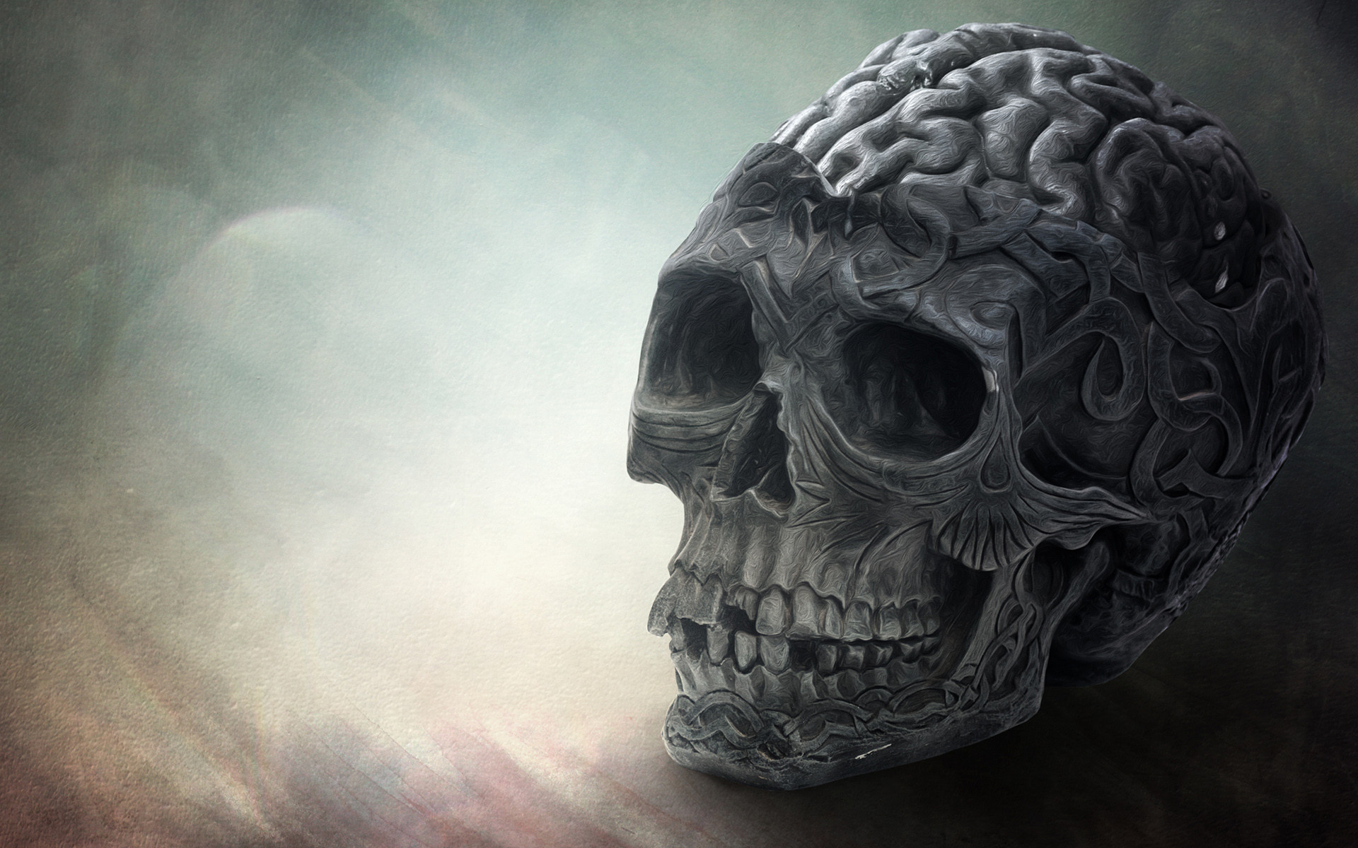 1920x1200 Brain Skull HD wallpaper