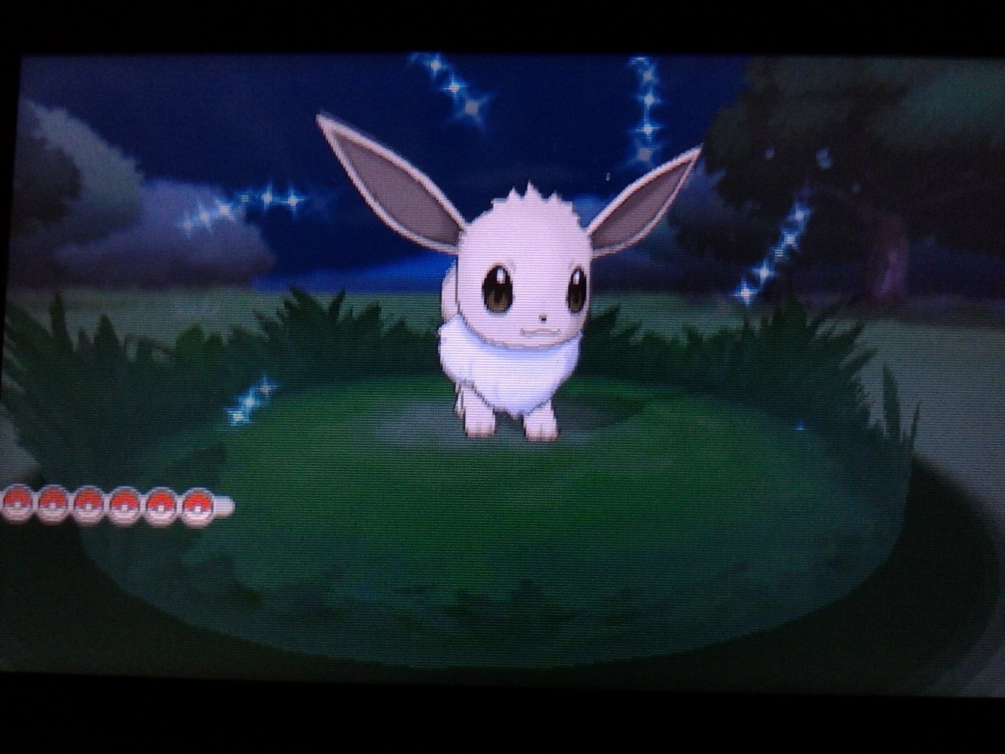 2048x1536 Live shiny Eevee after only 40 REs!