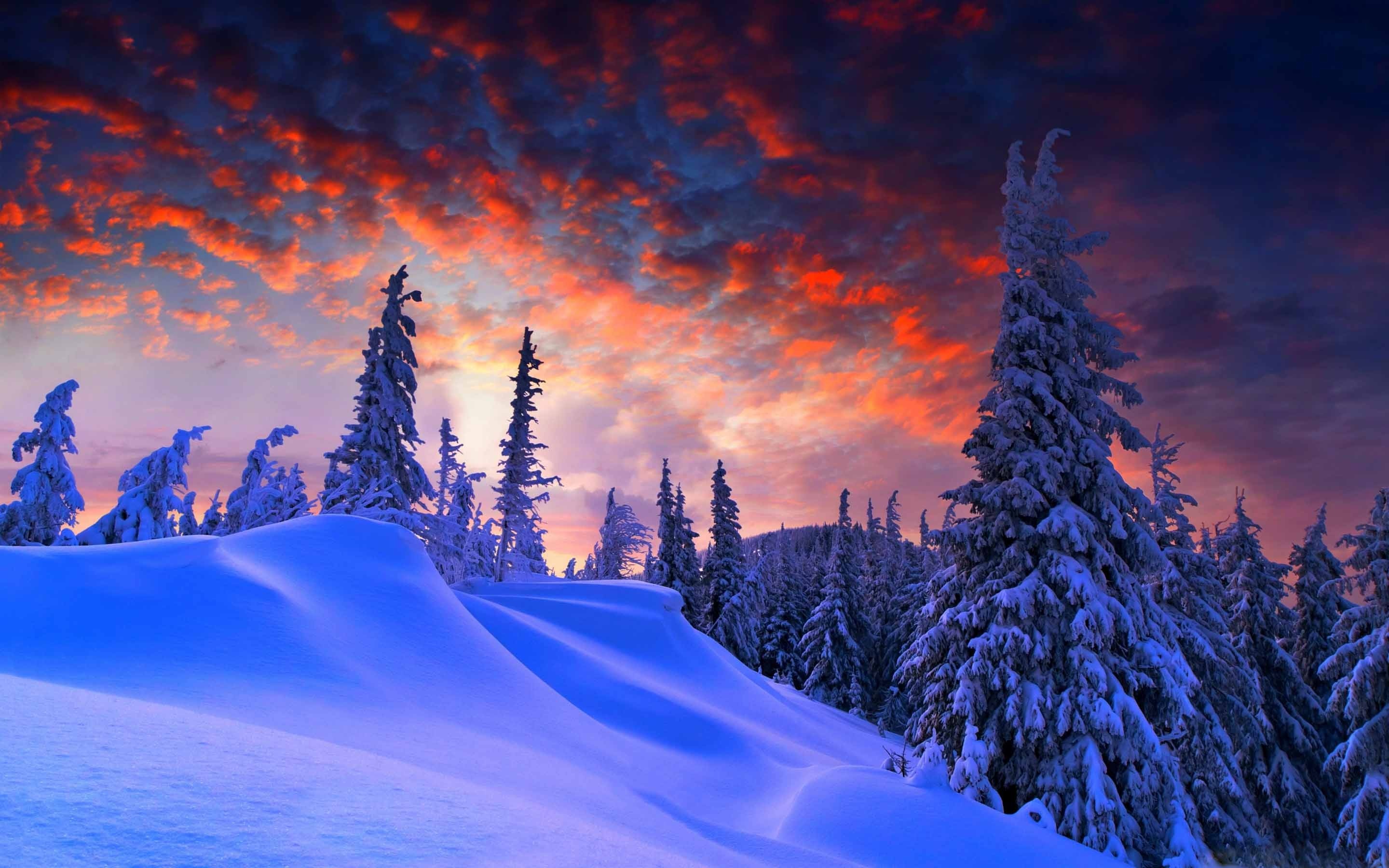 2880x1800 Winter Christmas Mac wallpaper