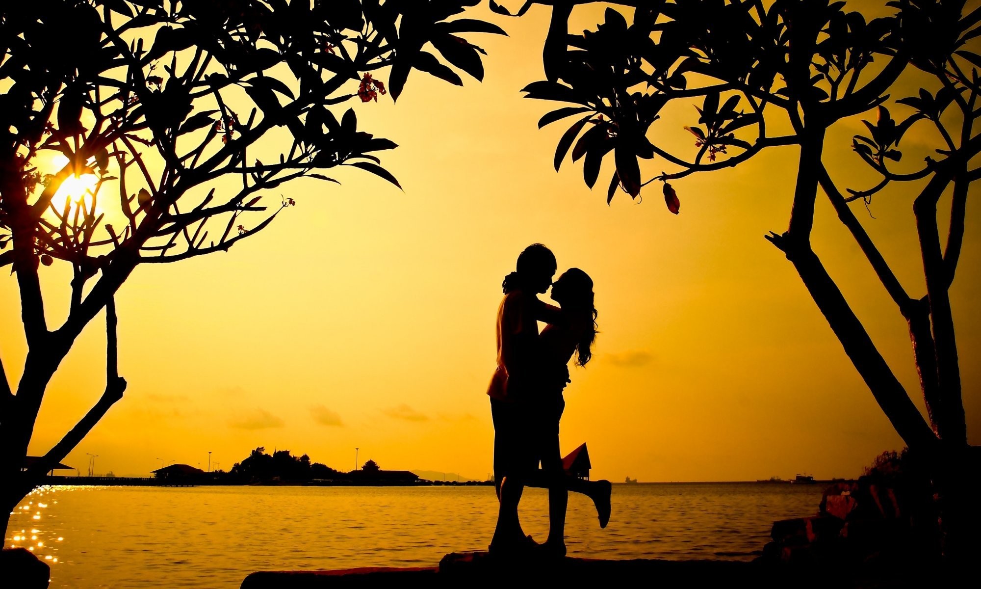 2000x1200 mood girl guy love men a woman hug tree tree leaves silhouette sunset nature  sea love
