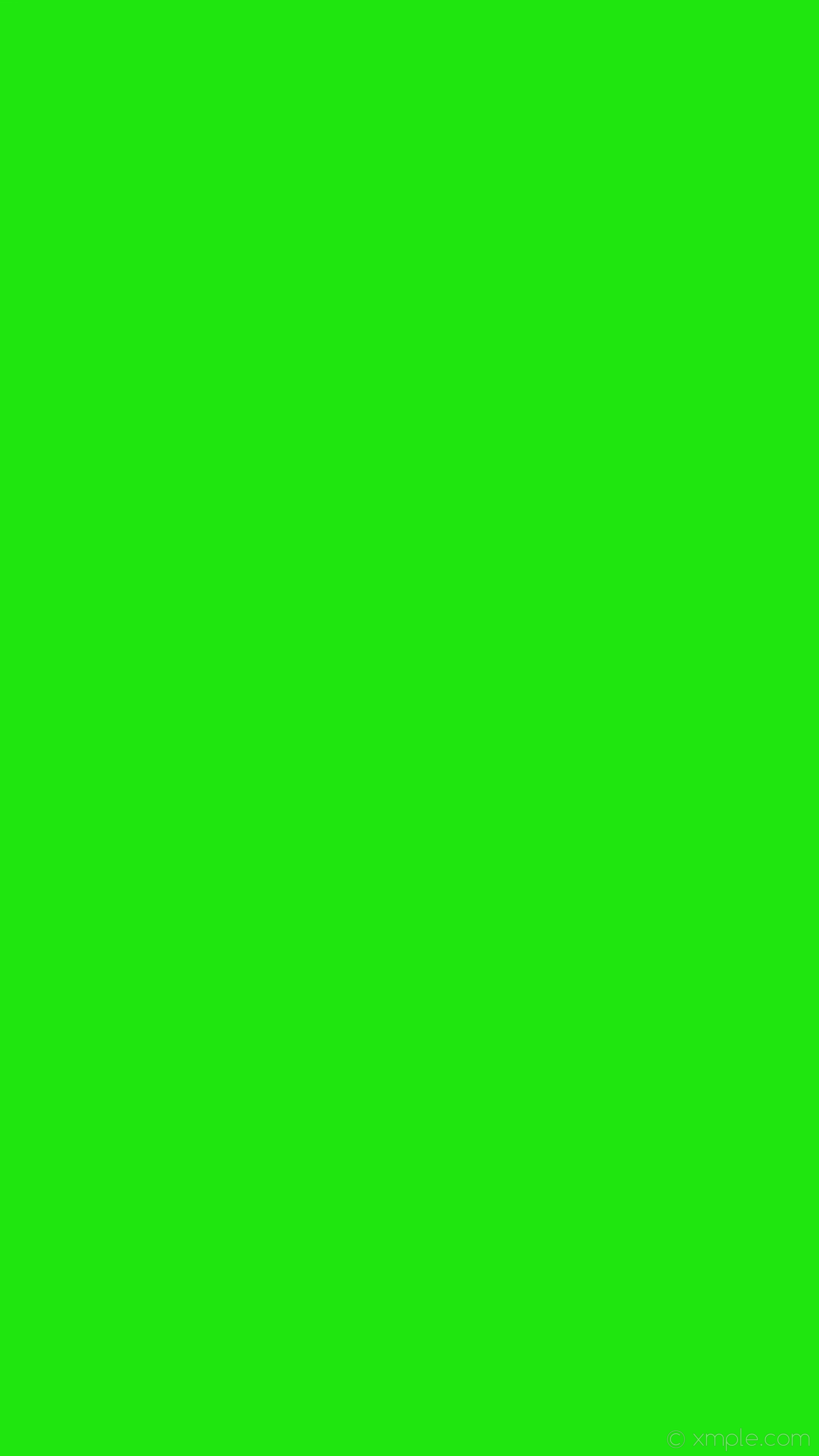 Solid Green Wallpaper 67 Images Solid Green Wallpaper 67 Images