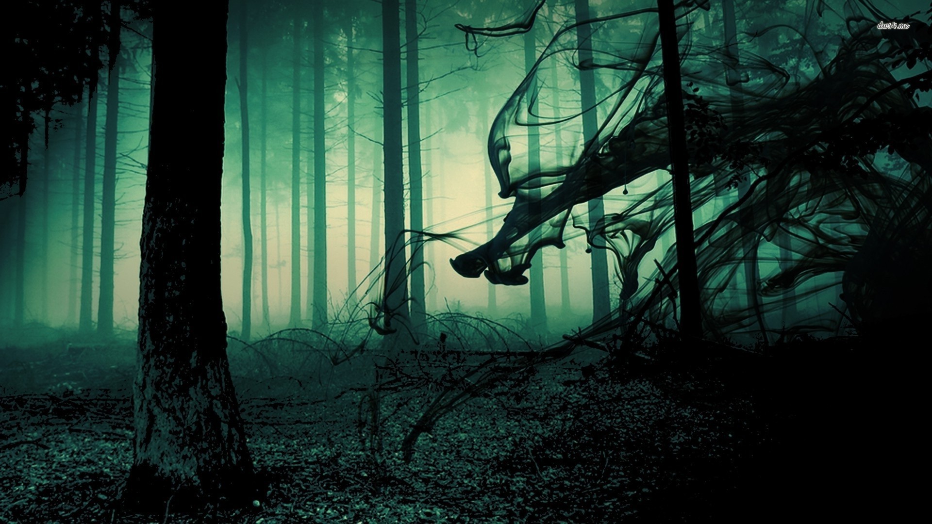 haunted forest crazy creature secret