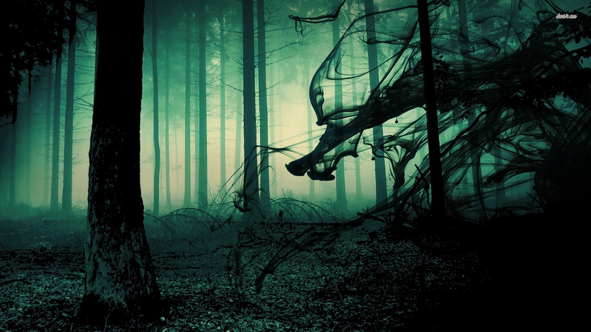 Spooky Forest Wallpaper 68 Images 