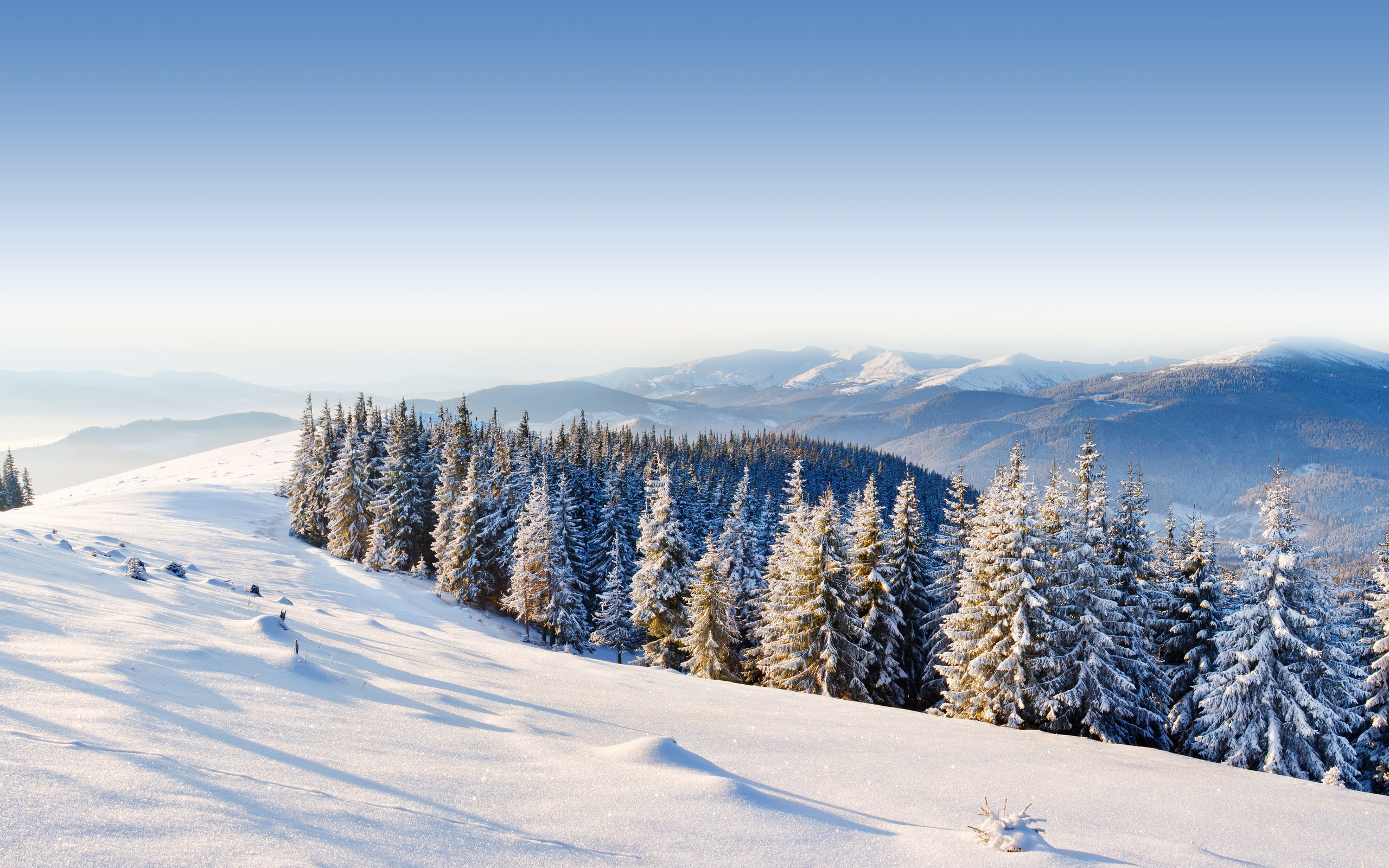 2560x1600 Winter mountain landscape hd images.