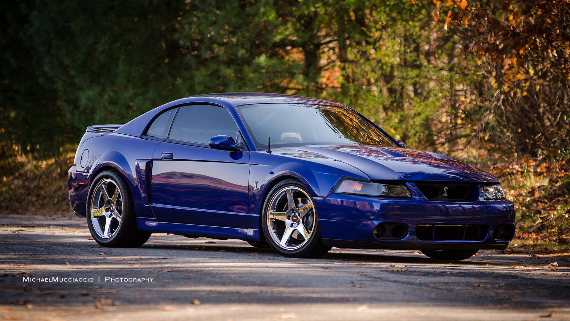 1920x1080 ... 2003-04 Mustang SVT Cobra with the Terminator engine | The Word of .