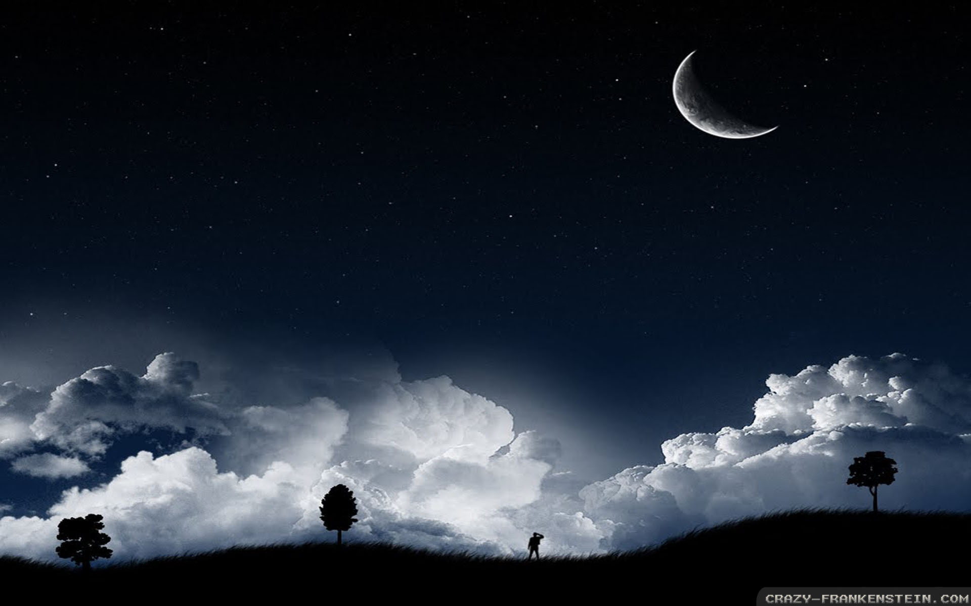 1920x1200 Wallpaper: Summer Night Sky And Moon Resolution: 1024x768 | 1280x1024 |  1600x1200. Widescreen Res: 1440x900 | 1680x1050 | 