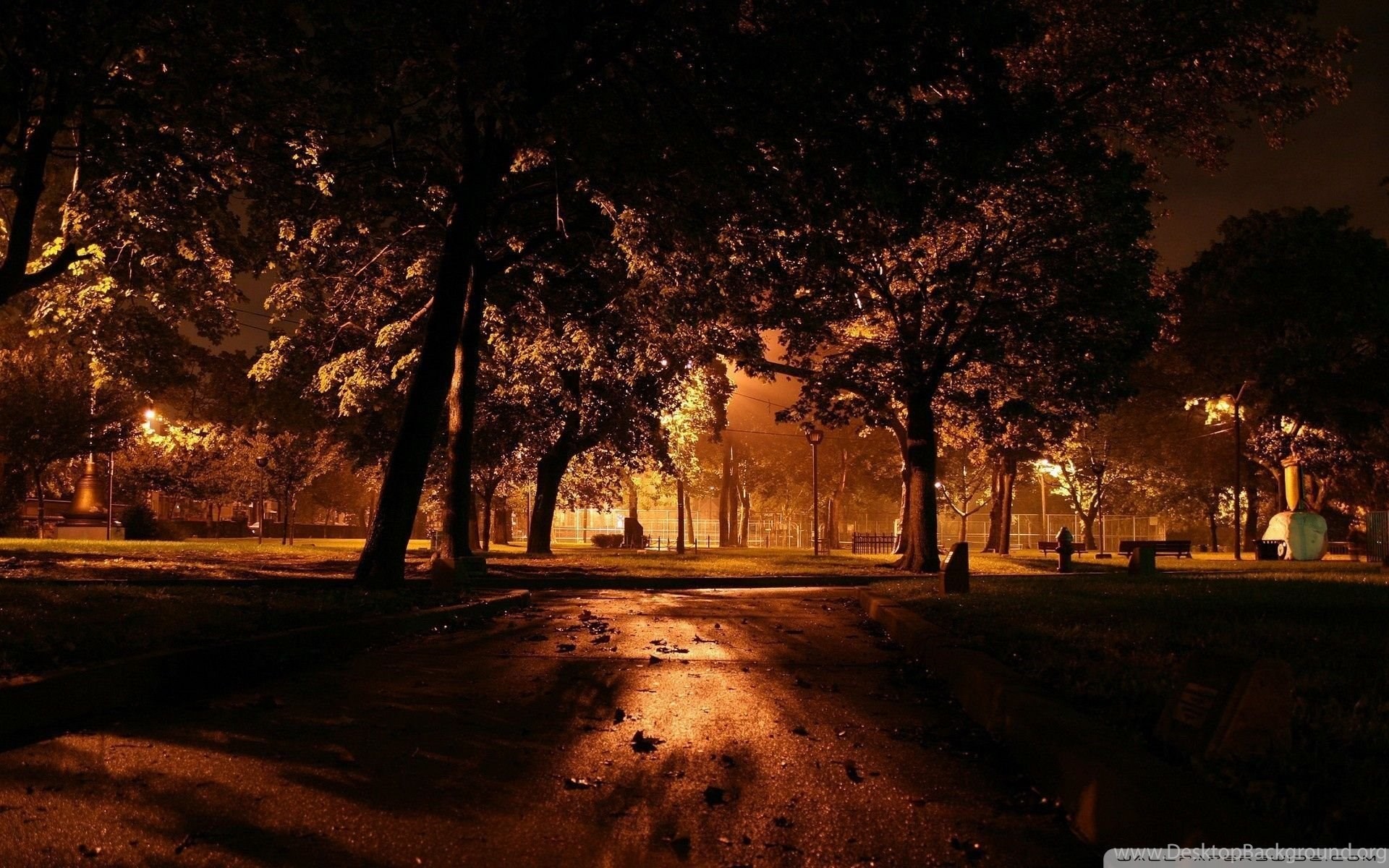 1920x1200 Park At Night City Wallpapers Full HD [] Free Wallpapers .