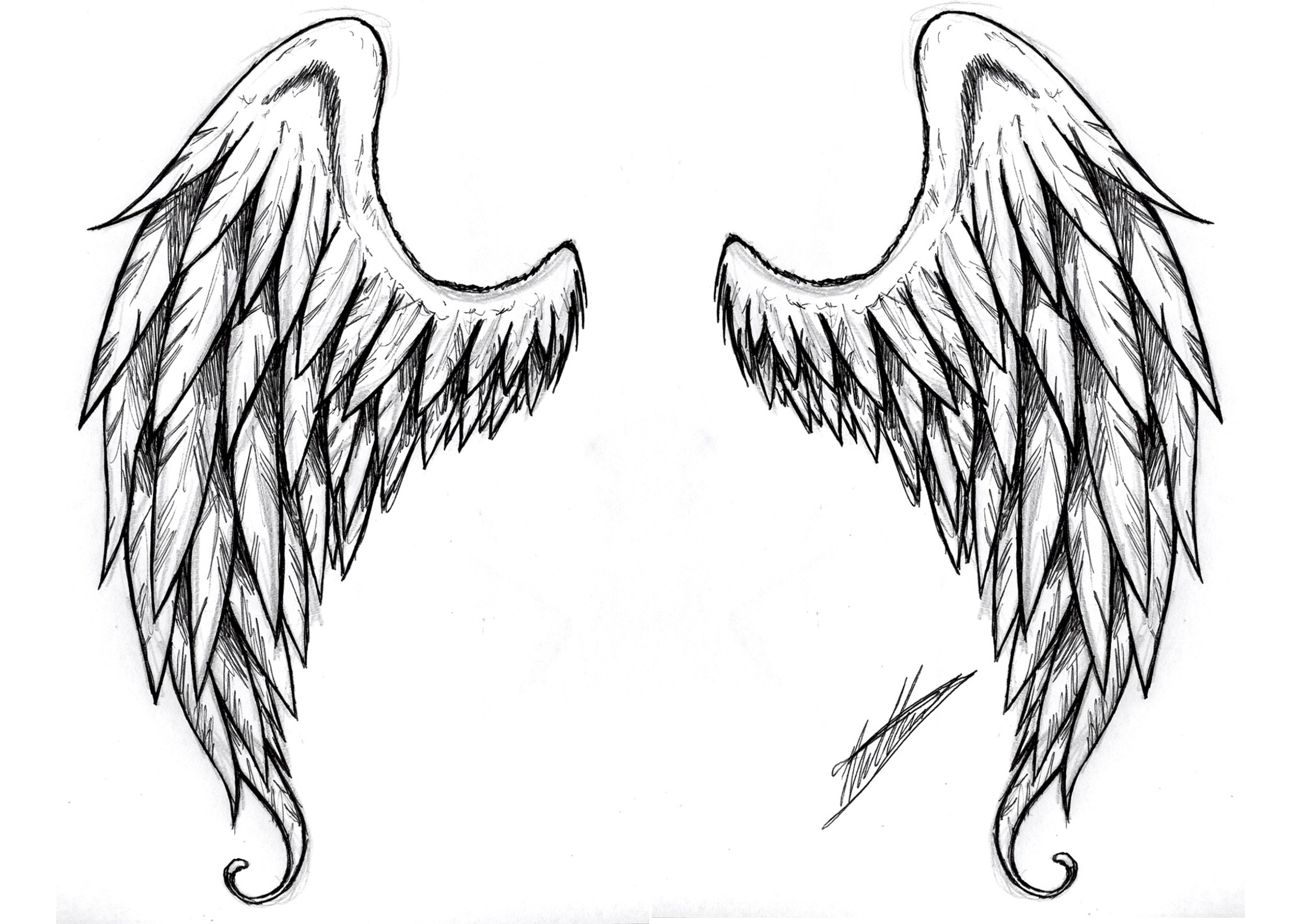 2304x1644 Angel Wings Tatoo By Spirogs image - vector clip art online