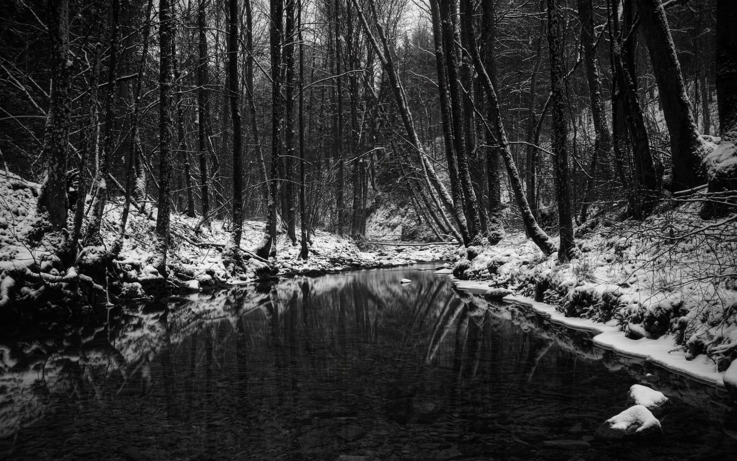 2560x1600 Wallpaper Wood, Stream, Snow, Trees, Black-and-white, Autumn, Late HD,  Picture, Image
