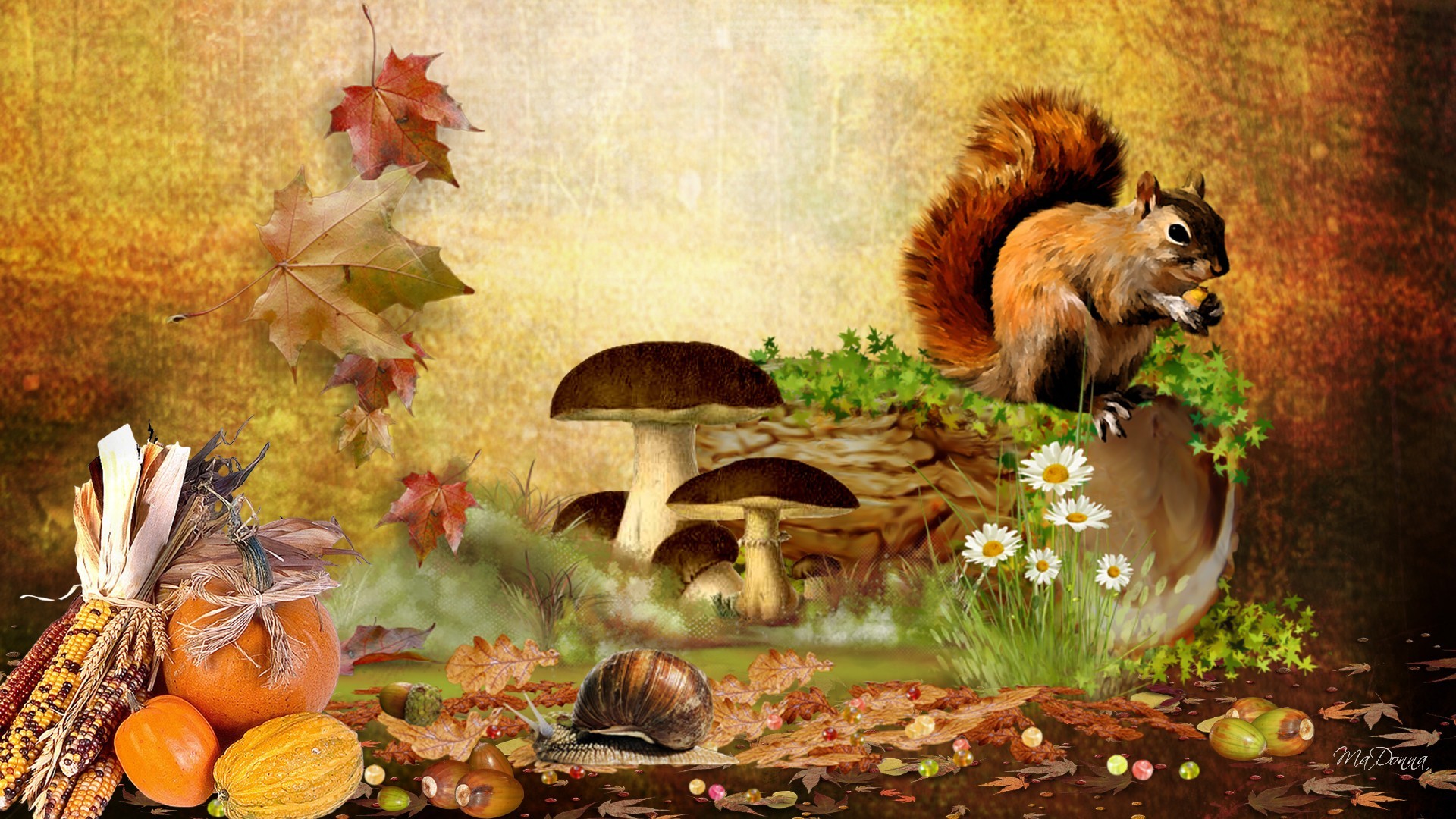 1920x1080 Fall with Animal HD Desktop Background Wallpapers 4034 - Amazing .