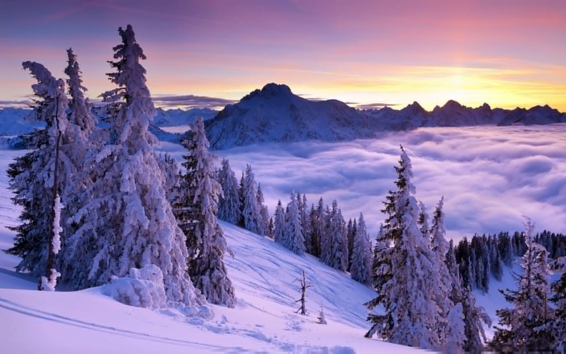 1920x1200 Nice and beautiful Winter wallpapers and theme for Windows 10 .