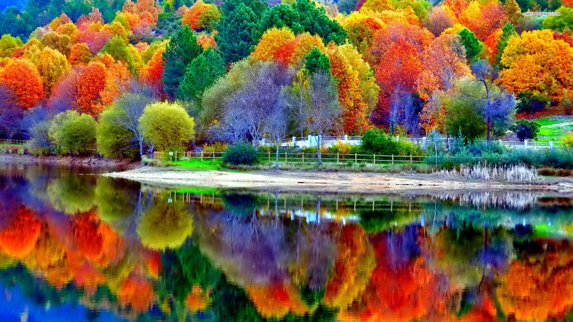 1920x1080 Beautiful Autumn Colors Reflected in Lake HD Desktop Wallpaper