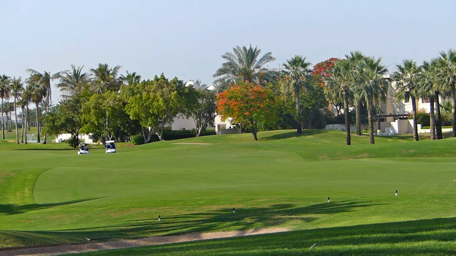 1920x1080 Perfect golf resort in Dubai city, with green grass, unrecognizable person  in a background driving a golf vehicle Stock Video Footage - VideoBlocks