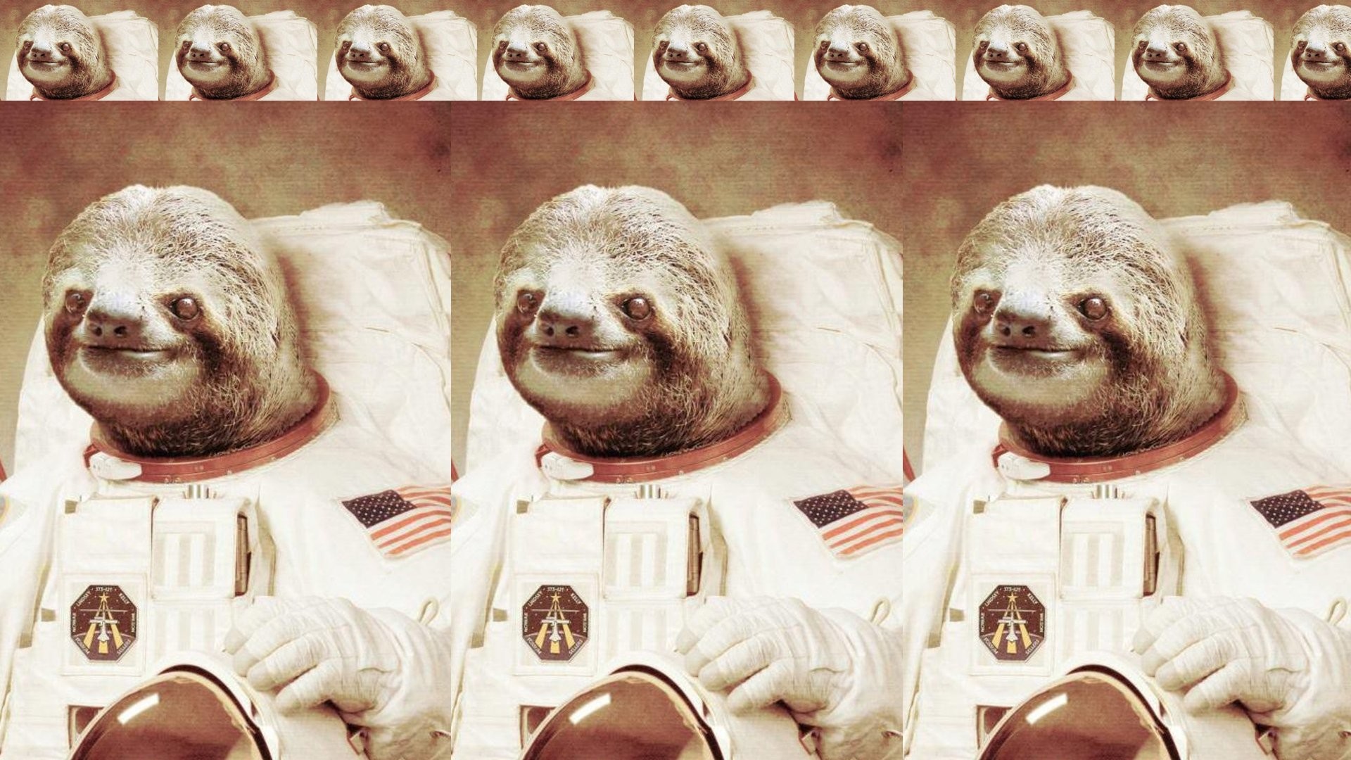 1920x1080 Astronaut Sloth