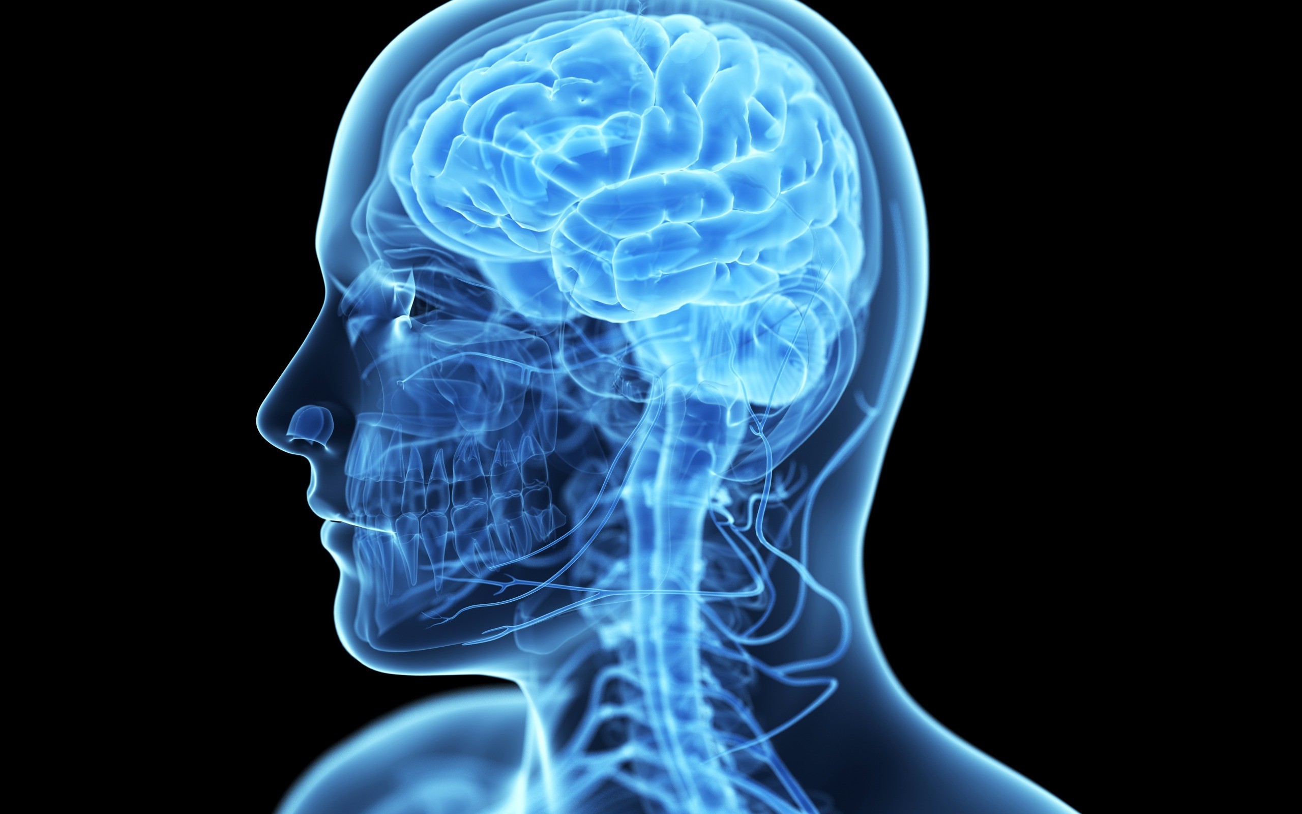 2560x1600 human brain, concepts, medicine, x-ray of the brain, anatomy,