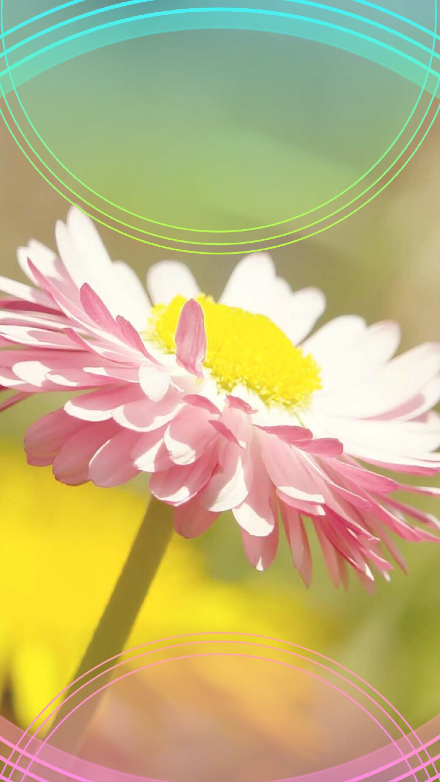 1500x2668 ââTAP AND GET THE FREE APP! Lockscreens Art Creative Flower Nature Pink  Yellow