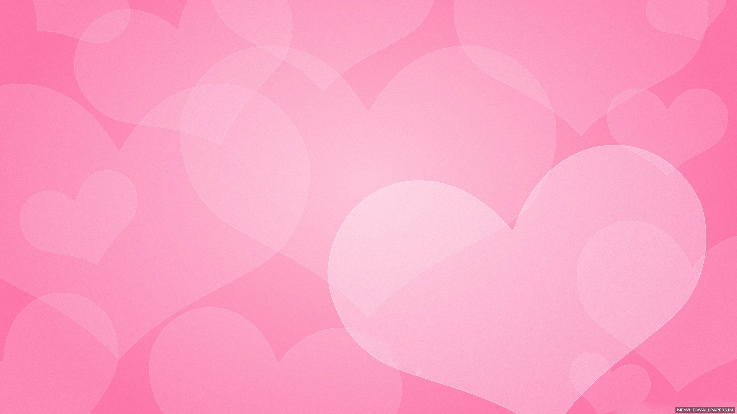 2560x1440 Cool Pink Plain Background