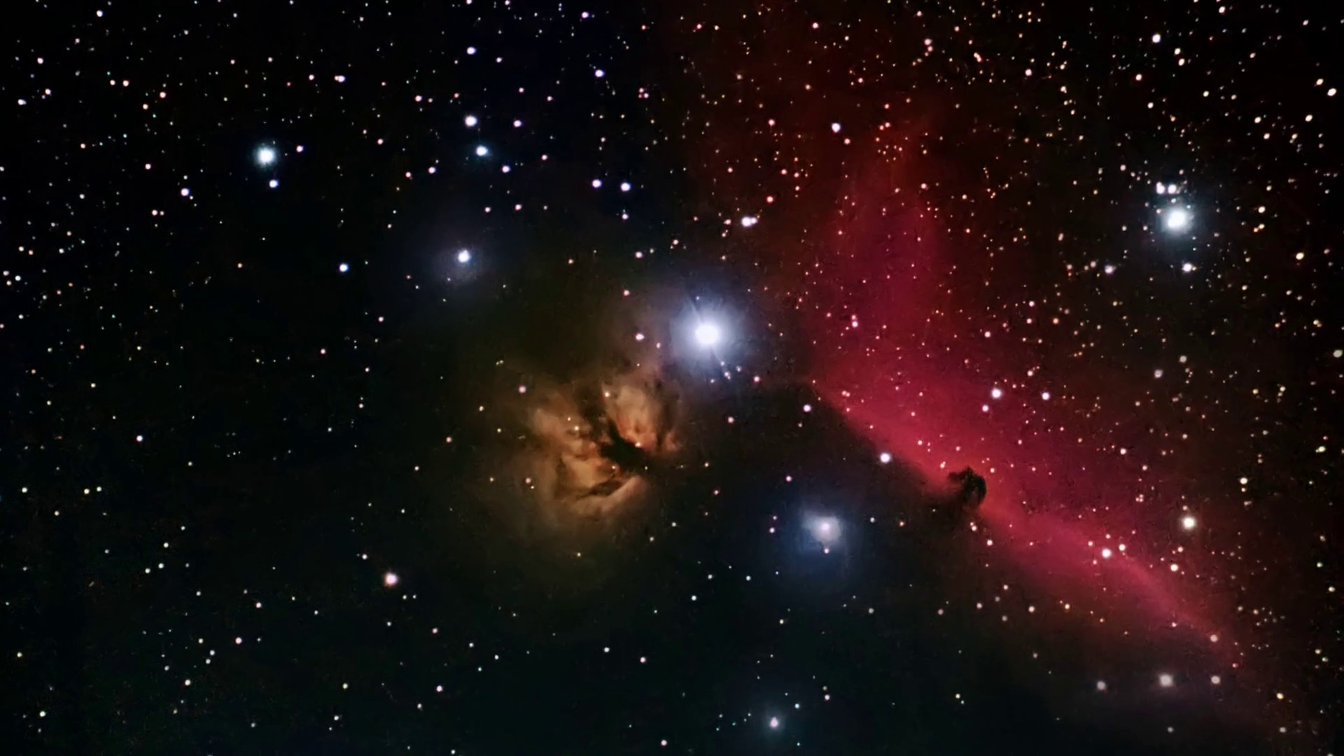 1920x1080 Horsehead Nebula in the constellation Orion. Stock Video Footage -  VideoBlocks