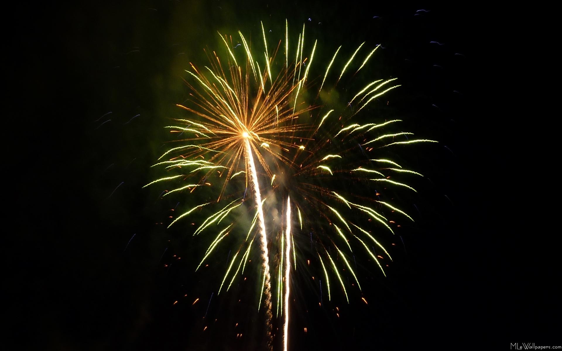 1920x1200 Green and Gold Fireworks