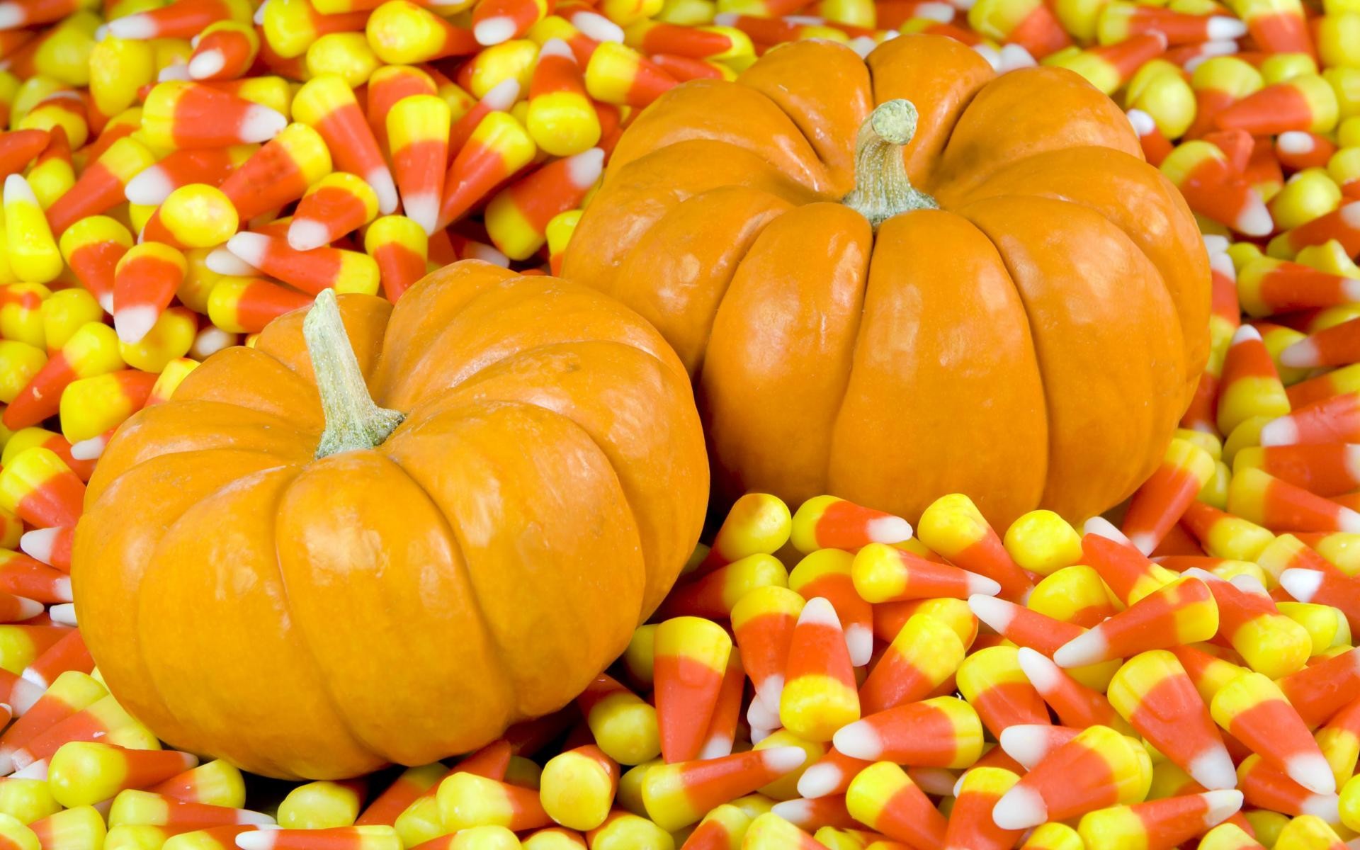 1920x1200 fall,candy,autumn,halloween background wallpapers