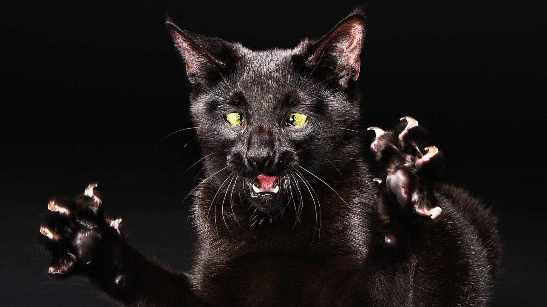 1920x1080 dark evil cat claw ...
