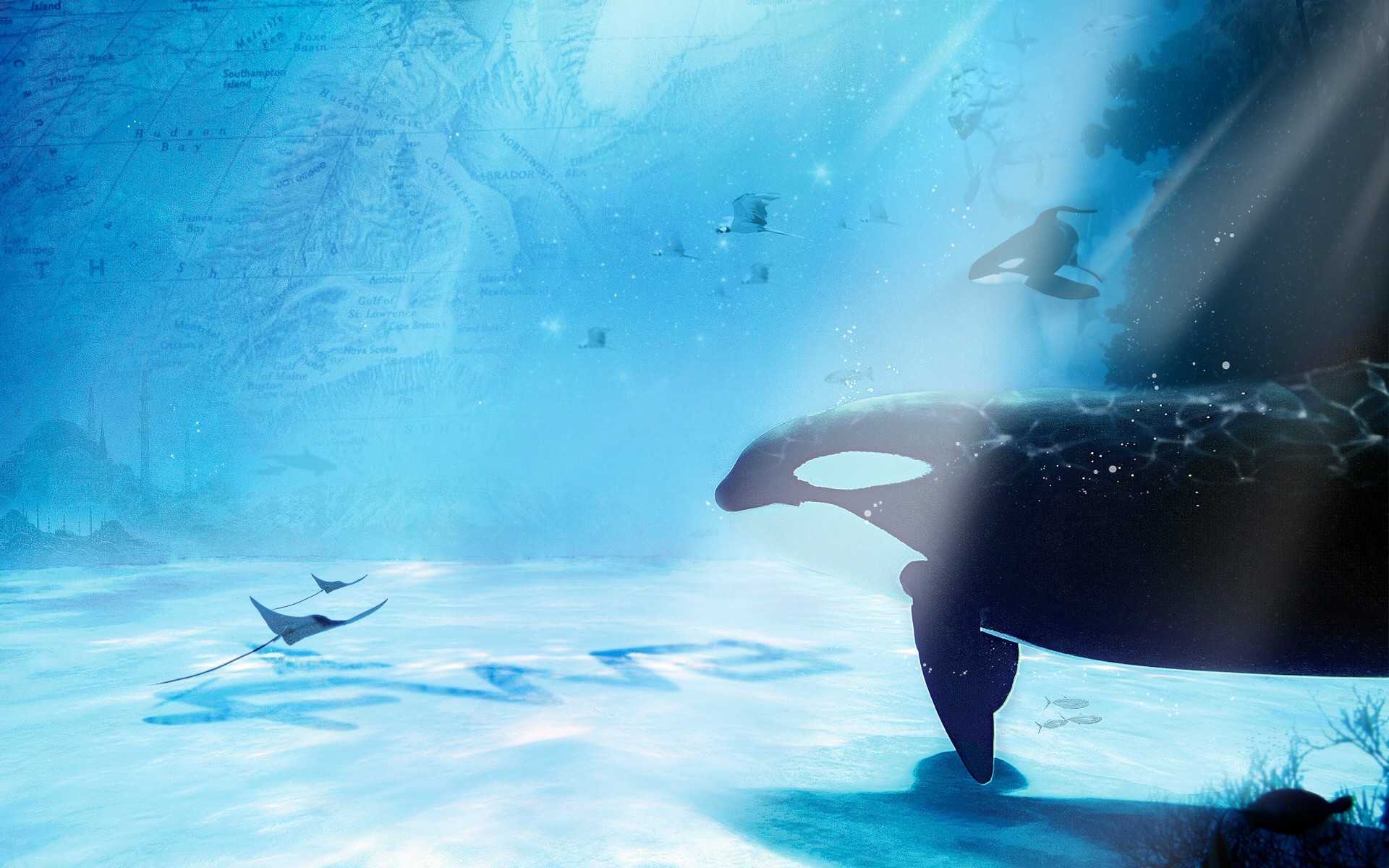 1920x1200 SUBAQUATIC -  wallpaper by jayemsee for The FWA