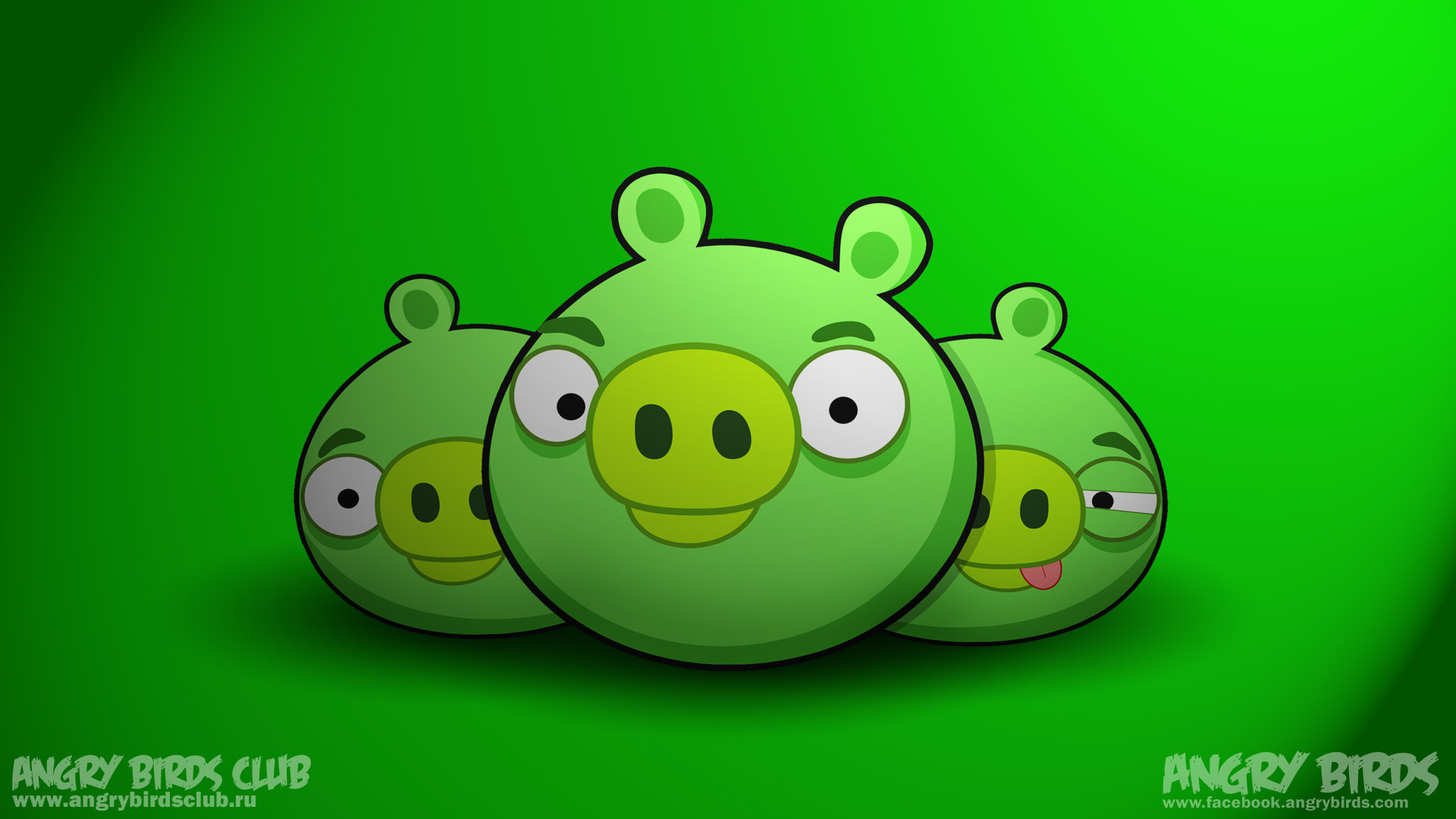1920x1080 Angry Birds Pigs wallpaper