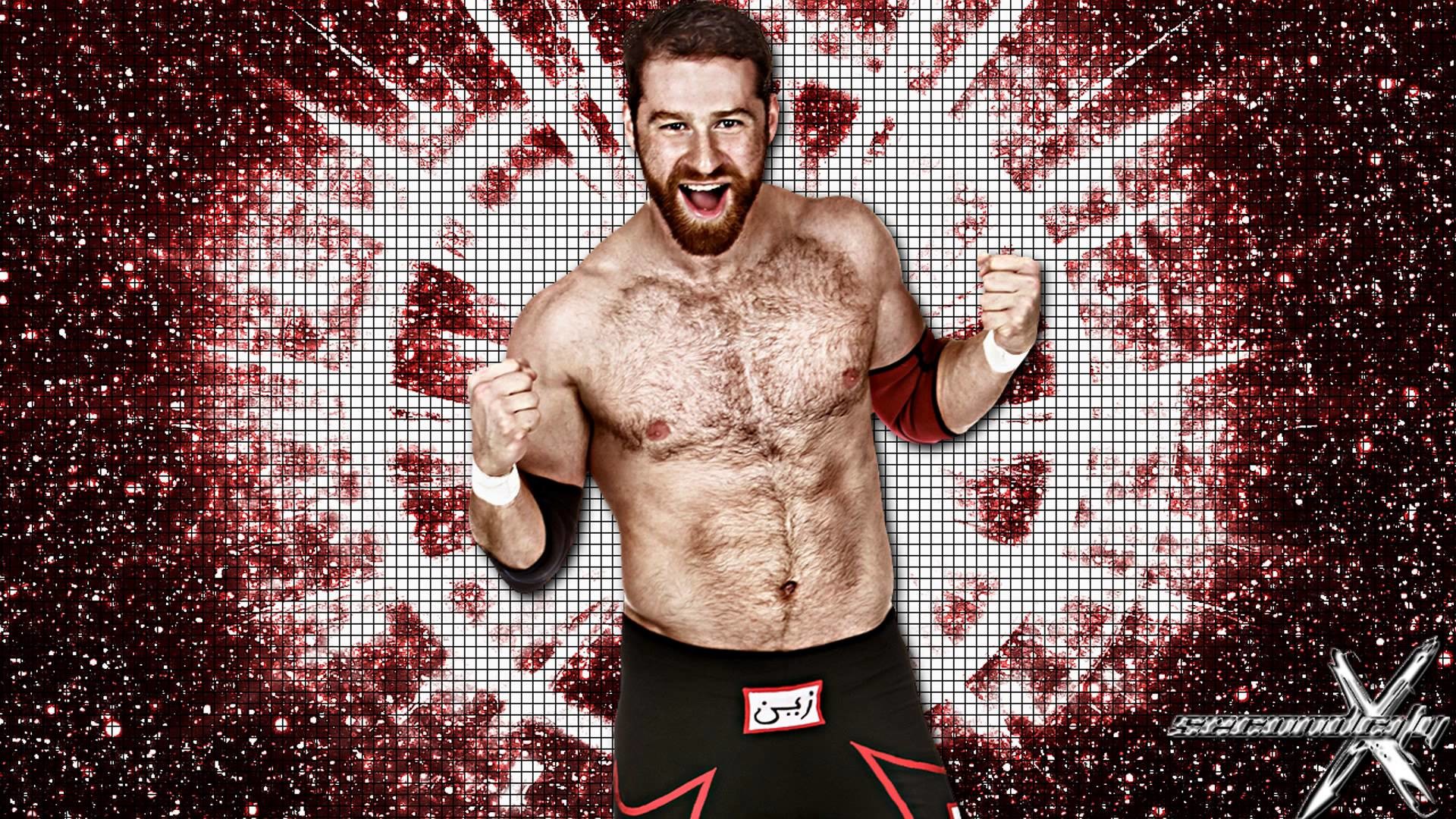 1920x1080 wwe superstars images Sami Zayn HD wallpaper and background photos
