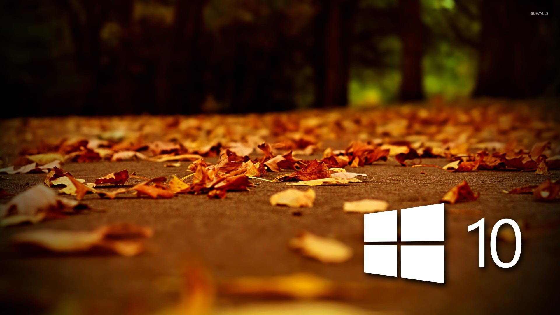 1920x1080 Windows 10 on autumn leaves [4] wallpaper  jpg