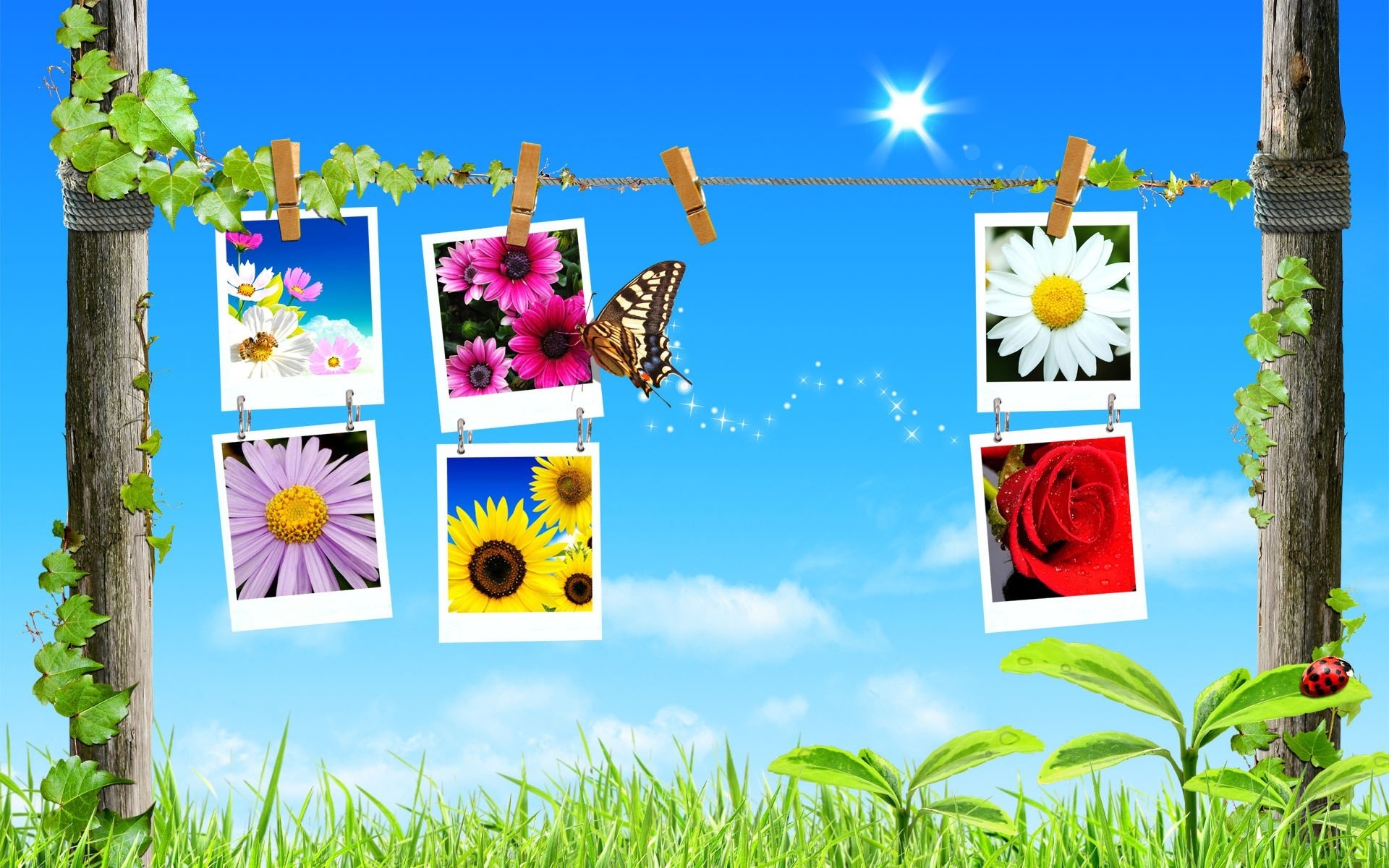 1920x1200 Spring Collage Wallpaper Spring Nature Wallpapers