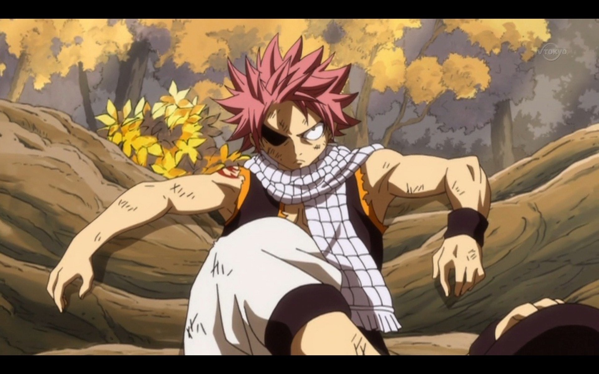 Fairy Tail 82 4K HD Anime Wallpapers, HD Wallpapers