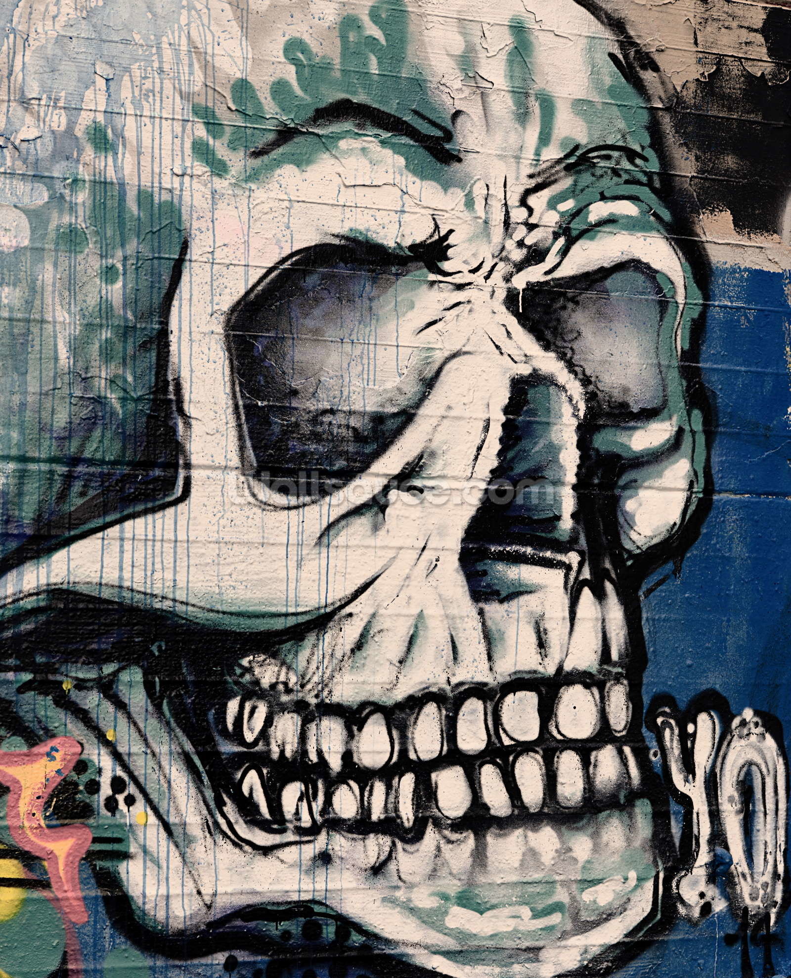 1600x1978 Graffiti - Skull Face Wallpaper Mural