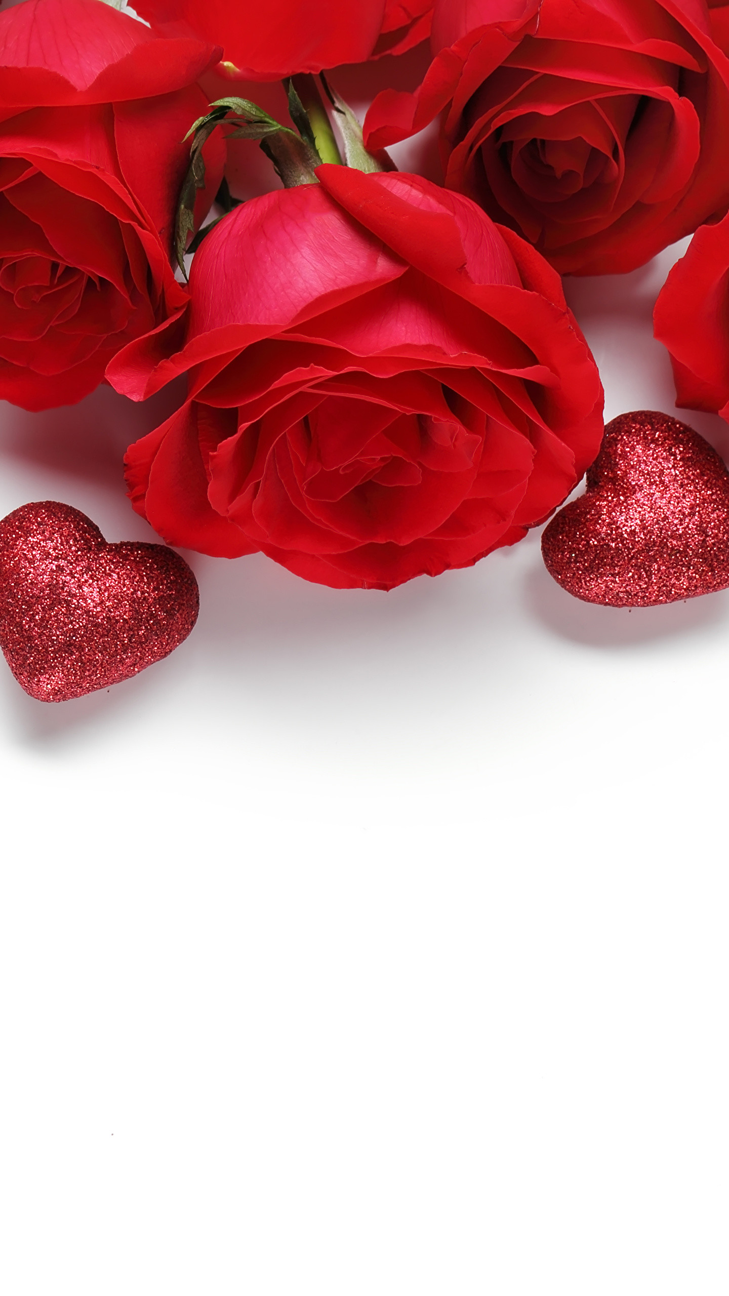 1440x2560 Wallpaper Valentine's Day Heart Red Roses Flowers White background 