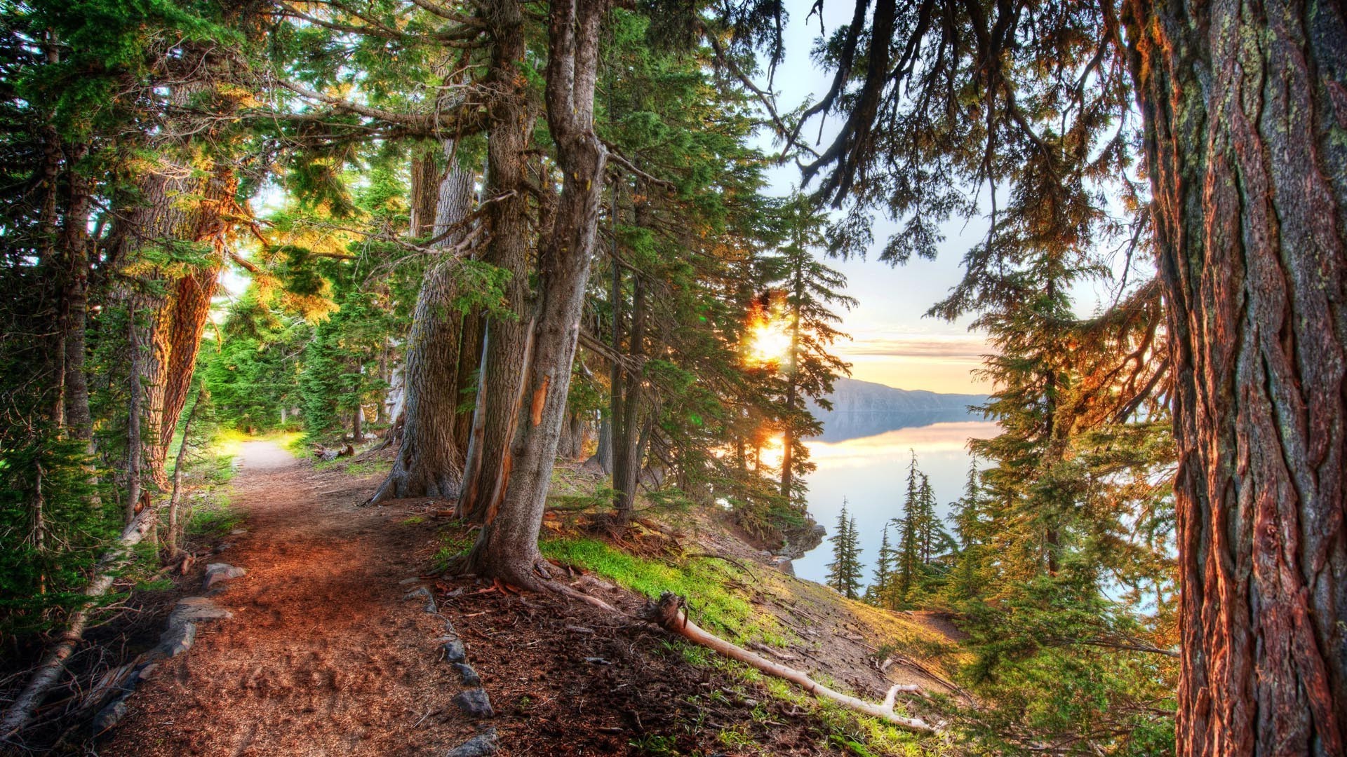 1920x1080 nature, HDR, Landscape, Lake, Trees, Forest, Path, Dirt Road Wallpapers HD  / Desktop and Mobile Backgrounds