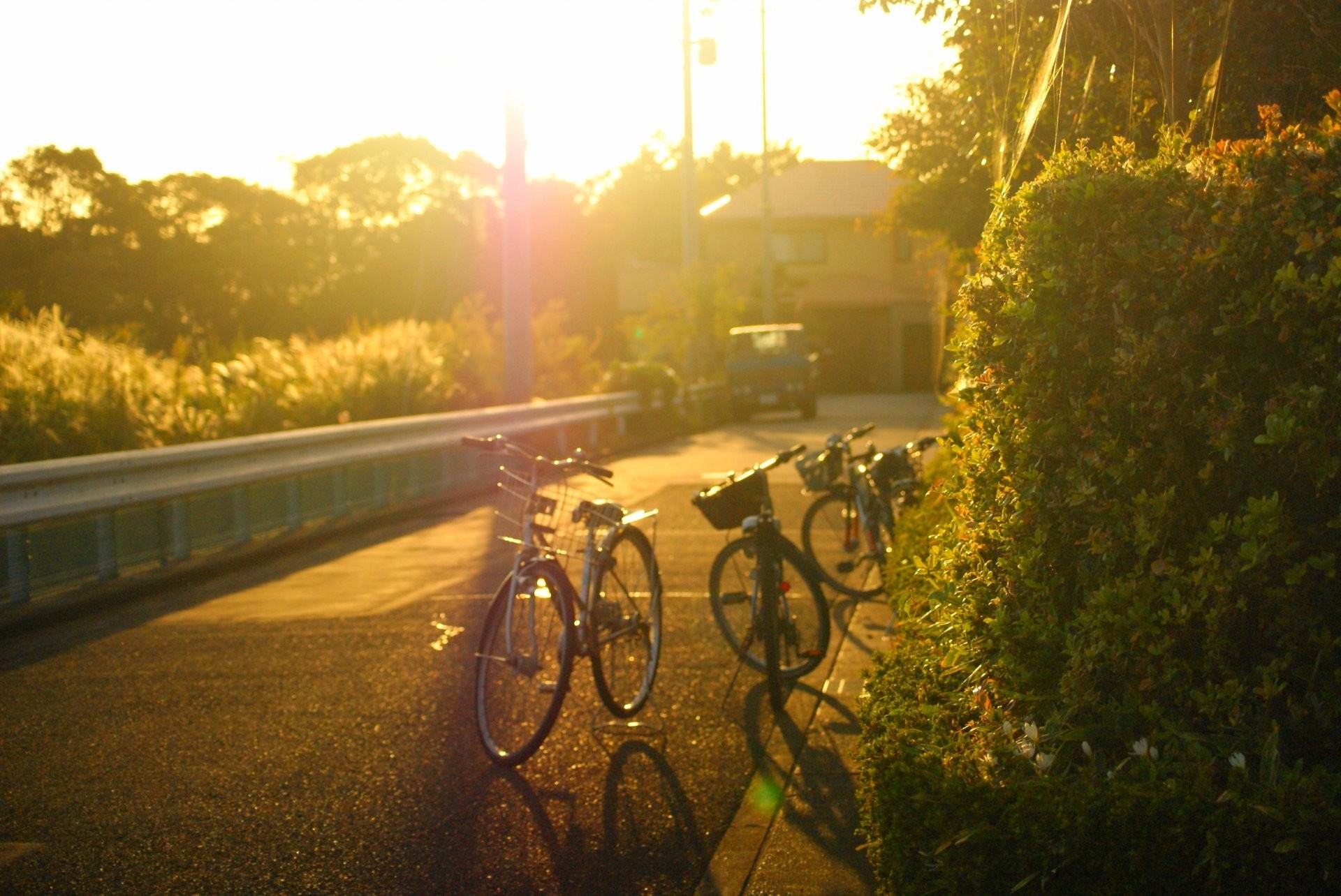 1920x1284 mood street town road bike bike bicycle tree tree leaves leaves machine sun background  wallpaper widescreen