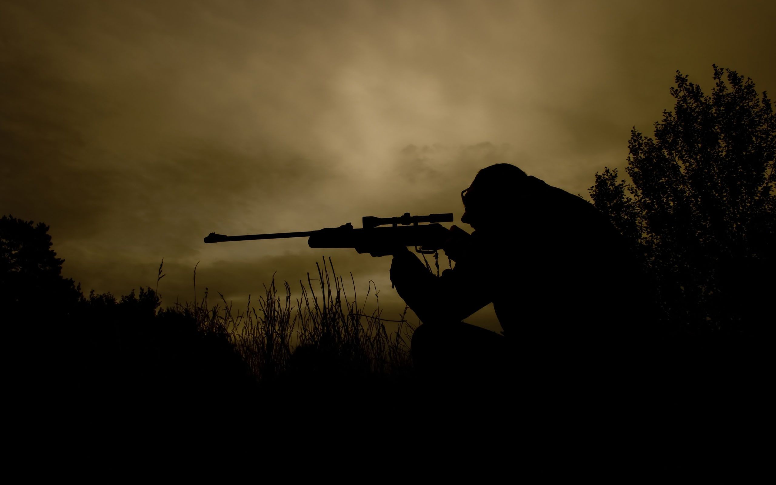 2560x1600 Sniper soldier silhouette at night  wallpaper