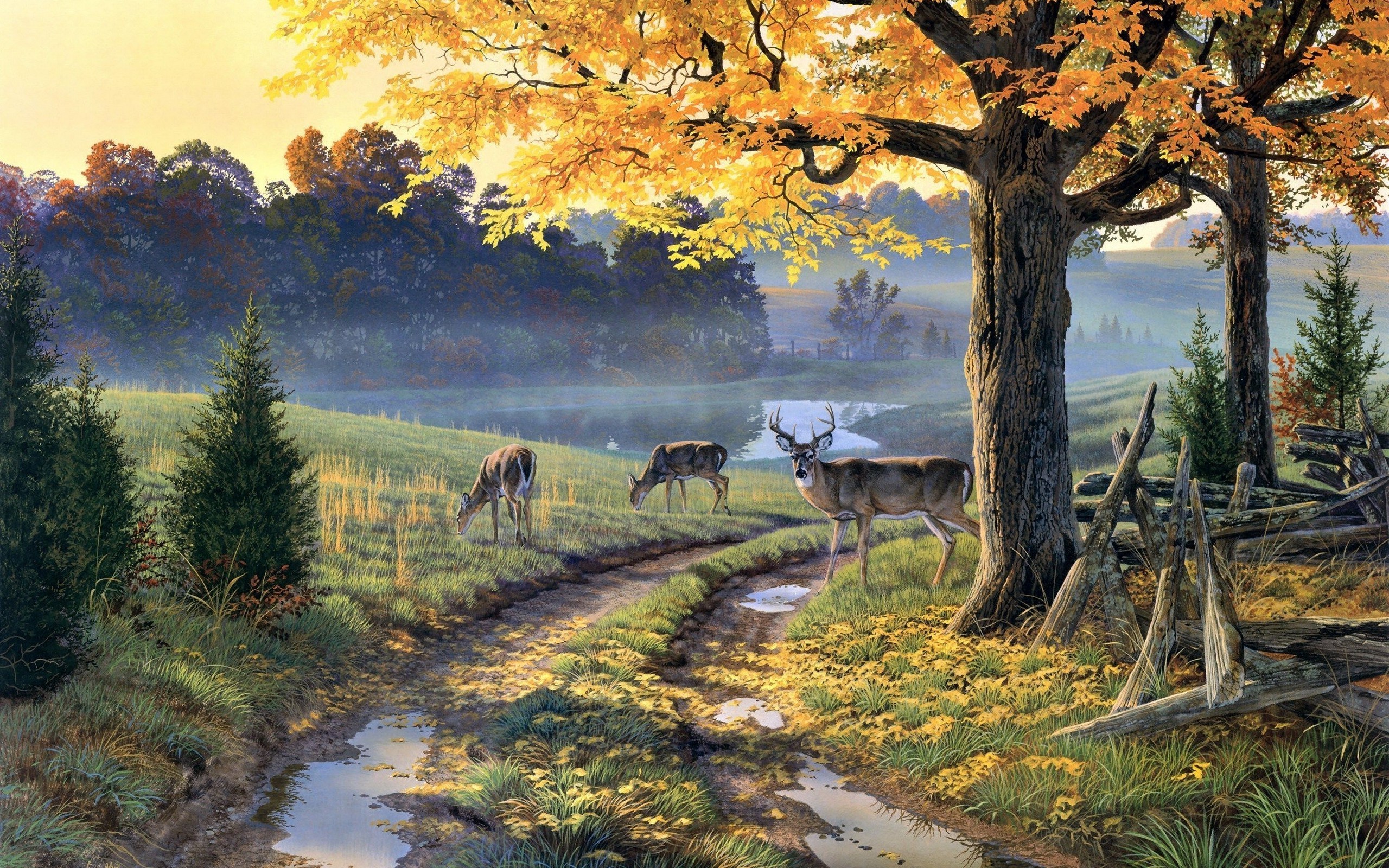 2560x1600 nature painting path animals trees deer Wallpapers HD / Desktop and Mobile  Backgrounds