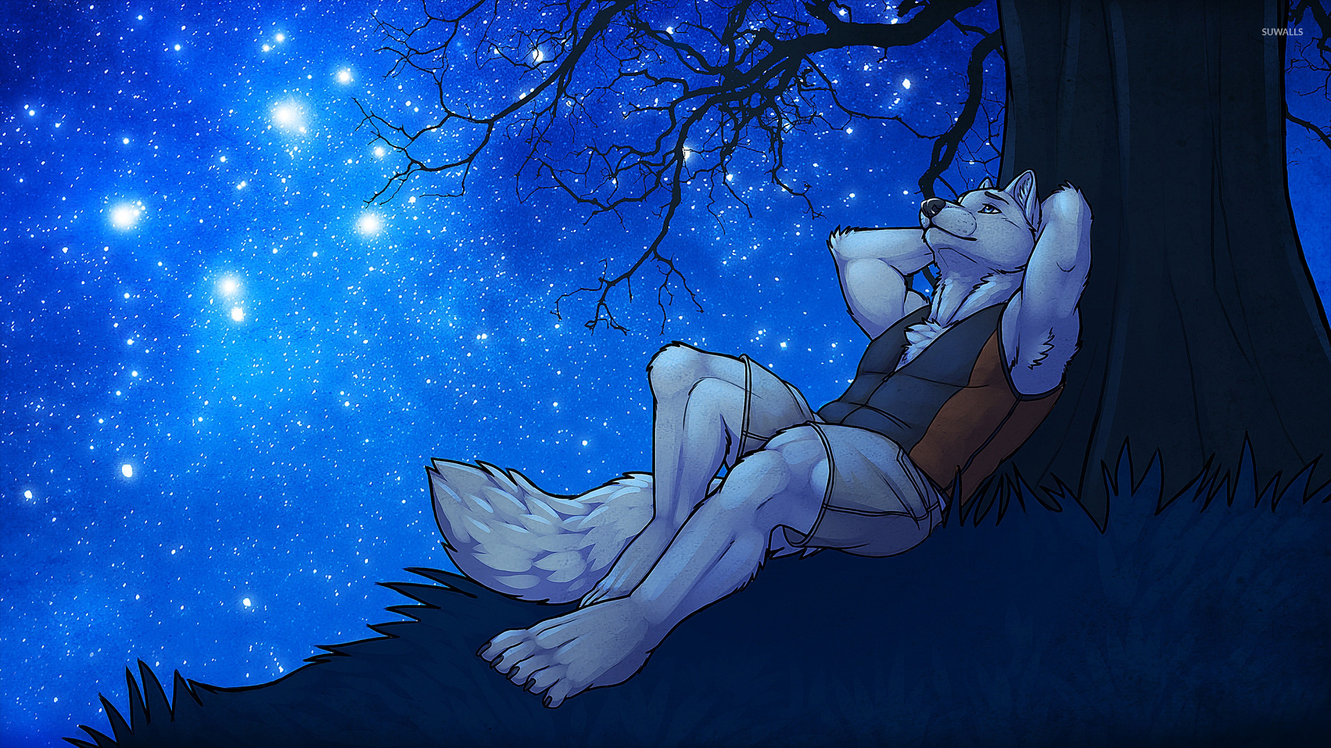 1920x1080 Romantic werewolf gazing at the starry sky wallpaper