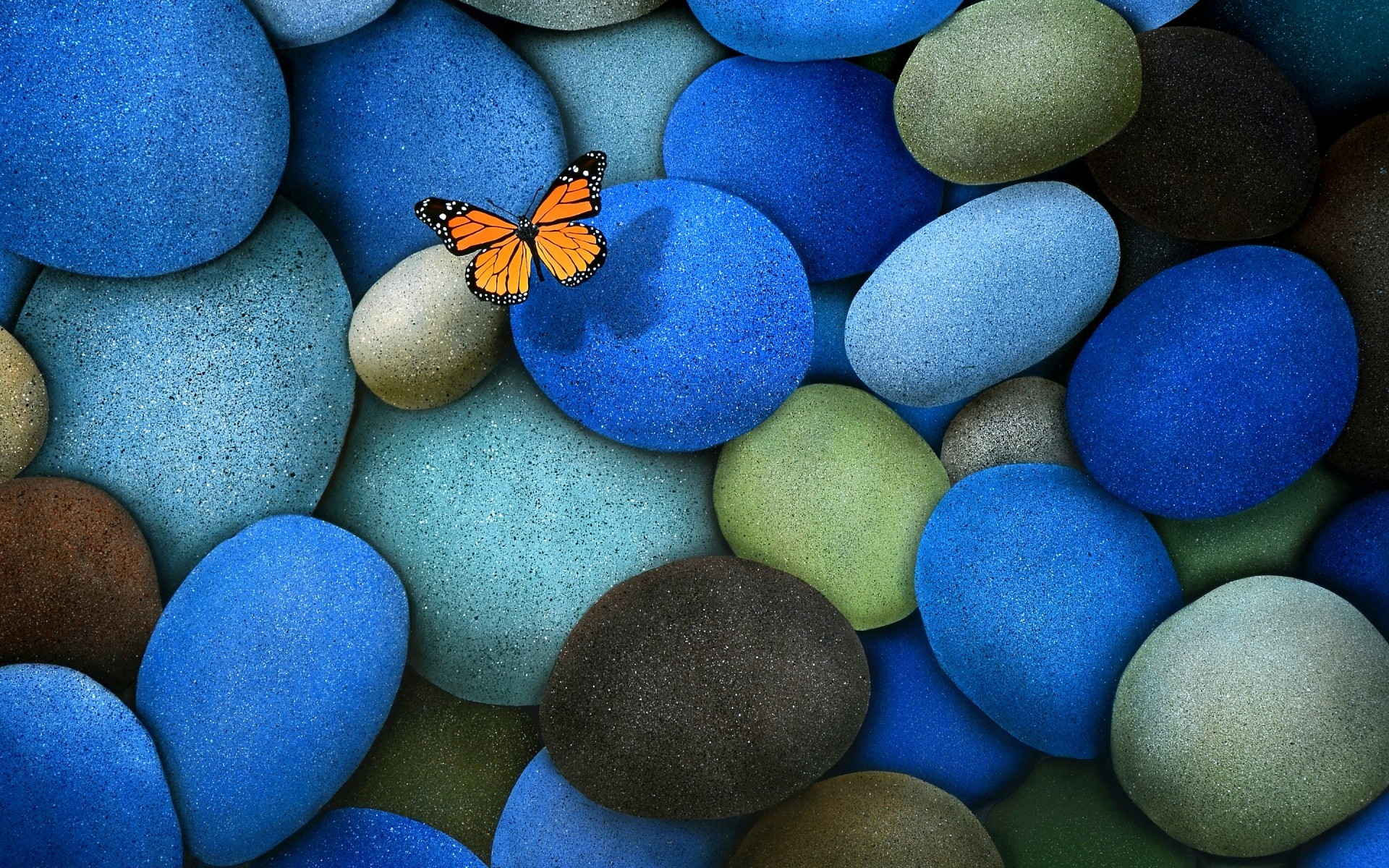 1920x1200 Insects easter egg color desktop zen balance pebbles butterfly HD wallpaper.  Android wallpapers for free.