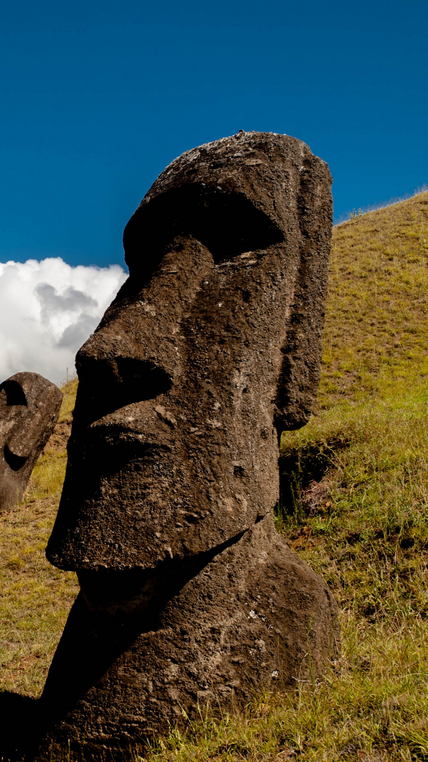 1440x2560  Wallpaper chile, easter island, rapa nui, moai, statue, carved  image