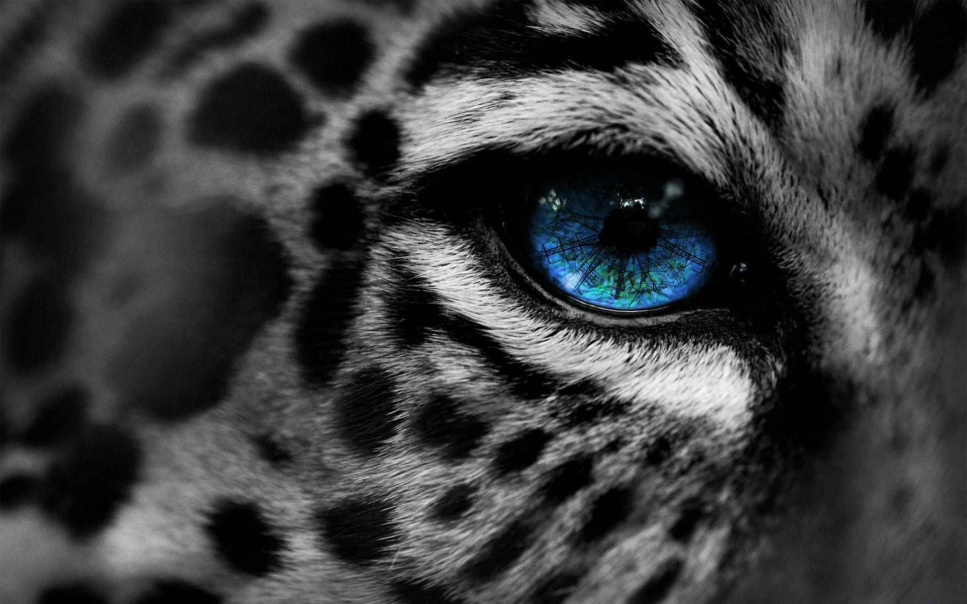 1920x1200 animals cats leopards predator face eyes spots selective color manipulation  cg digital art architecture towers power