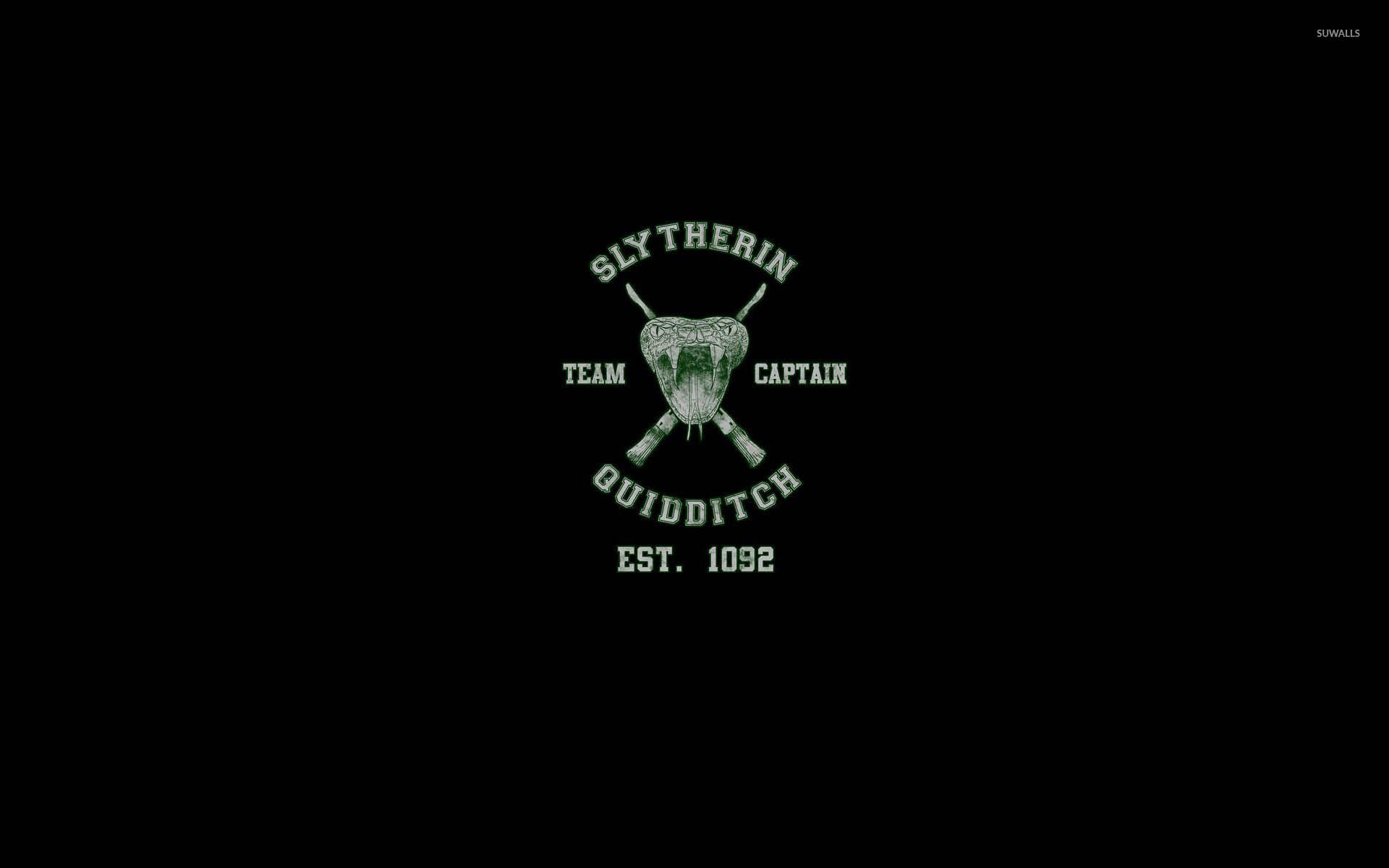 1920x1200 Slytherin Quidditch team - Harry Potter wallpaper